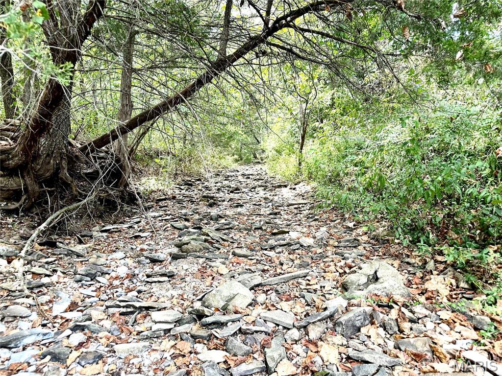 0 Swift Road Henley, MO 65040 - Photo 6 of 39