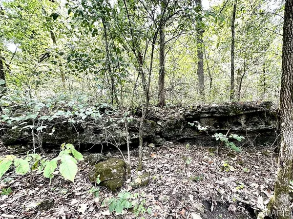 $399,999 | 0 Swift Road, Henley, MO 65040