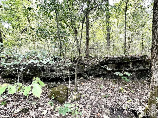 $425,000 | 0 Swift Road, Henley, MO 65040