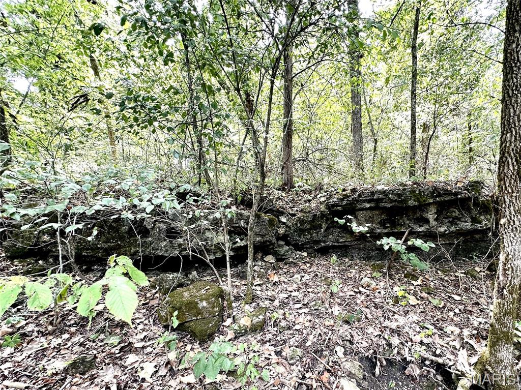 0 Swift Road Henley, MO 65040 - Photo 7 of 39