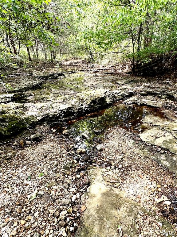 0 Swift Road Henley, MO 65040 - Photo 9 of 39