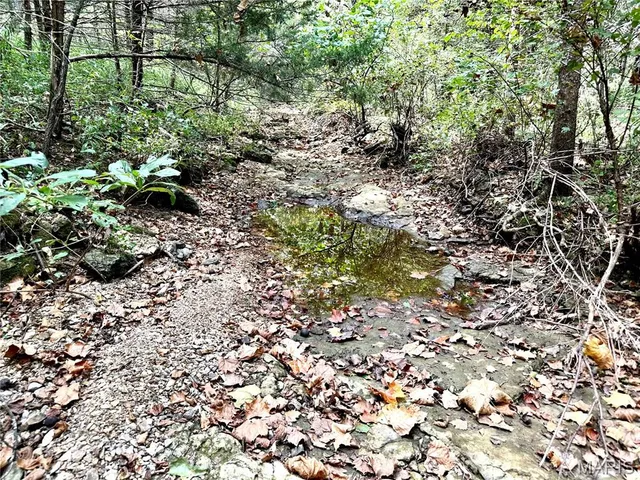 $425,000 | 0 Swift Road, Henley, MO 65040