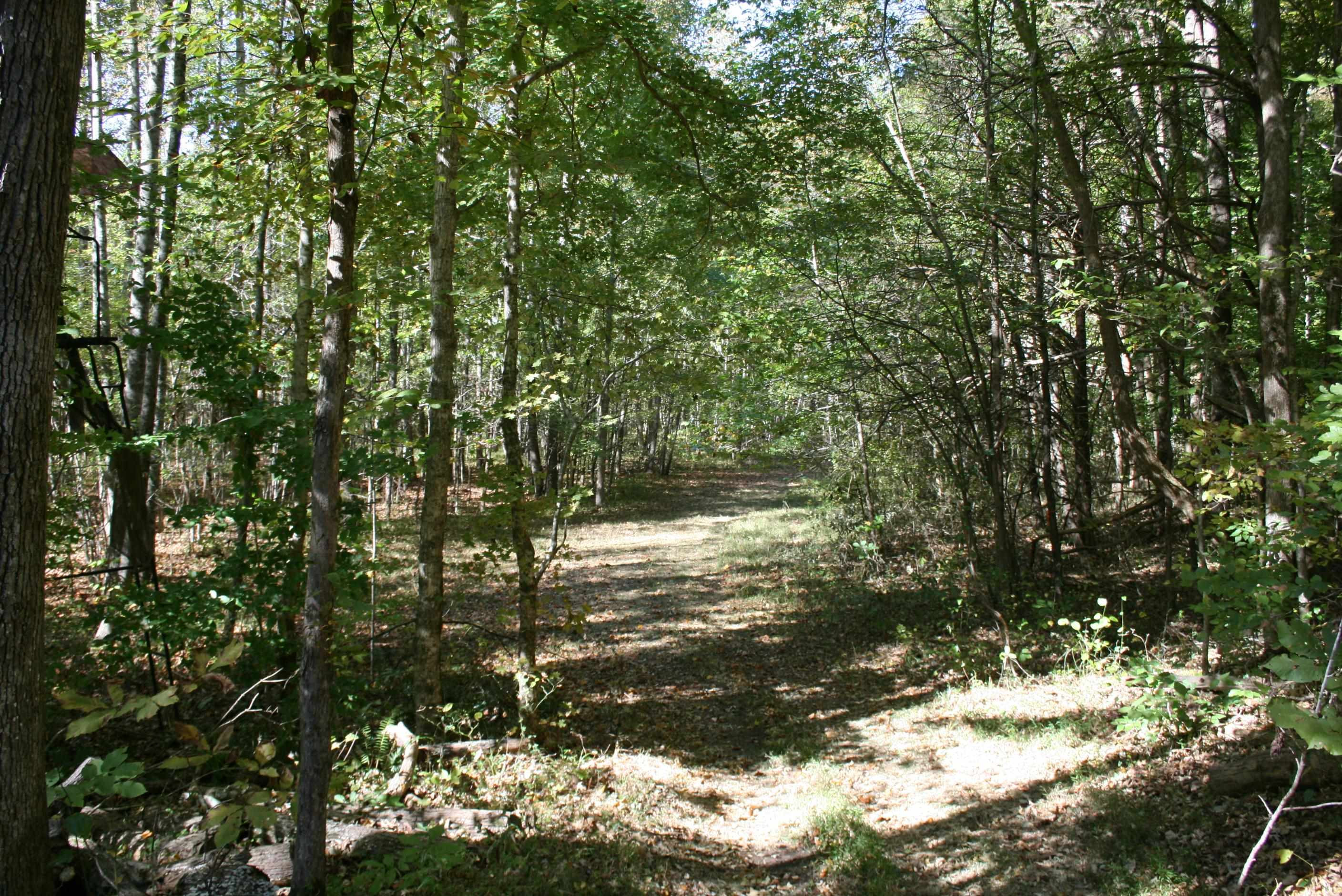 435 Perryville Exchange Road Darden, TN 38328 - Photo 13 of 48 Photo 13