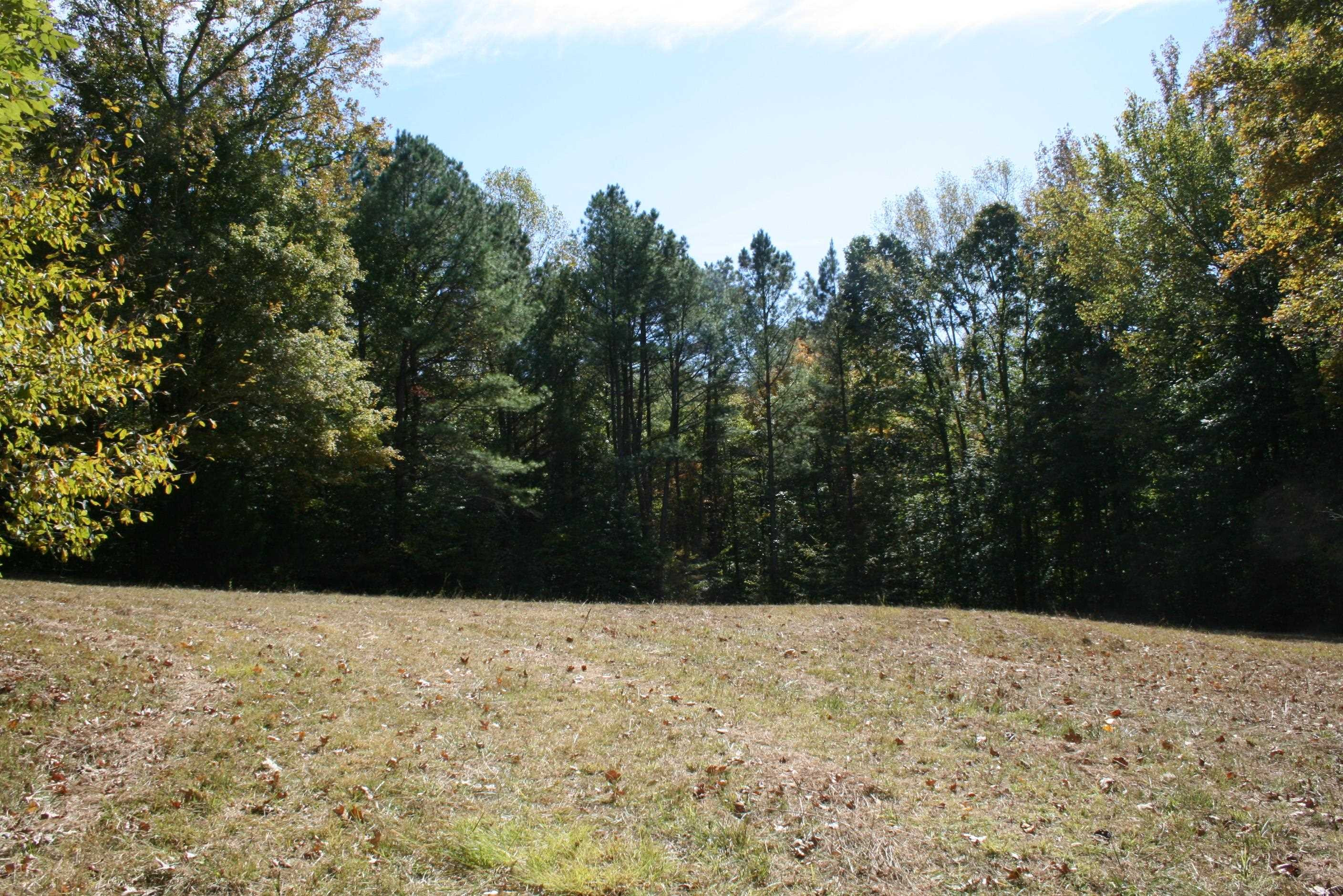 435 Perryville Exchange Road Darden, TN 38328 - Photo 15 of 48 Photo 15