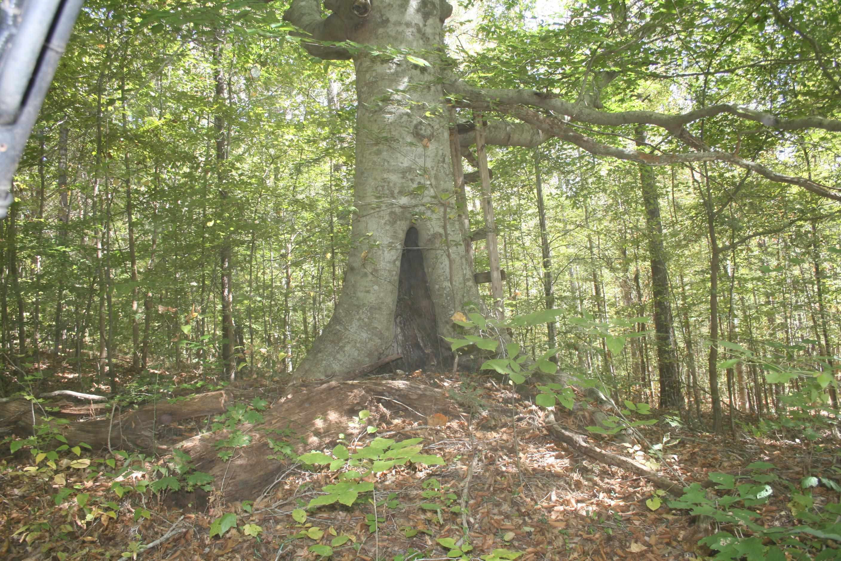 435 Perryville Exchange Road Darden, TN 38328 - Photo 16 of 48 Photo 16
