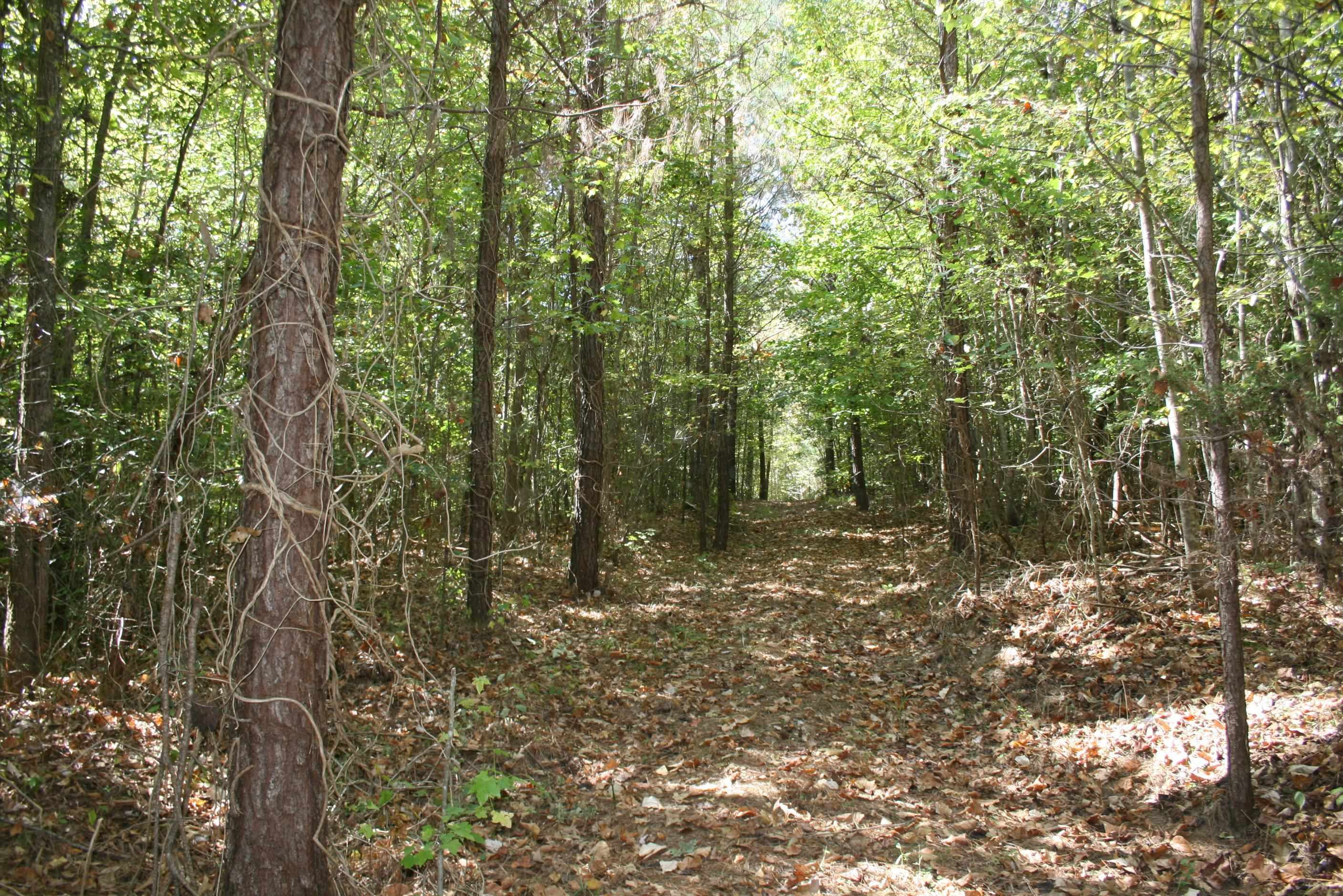 435 Perryville Exchange Road Darden, TN 38328 - Photo 18 of 48 Photo 18