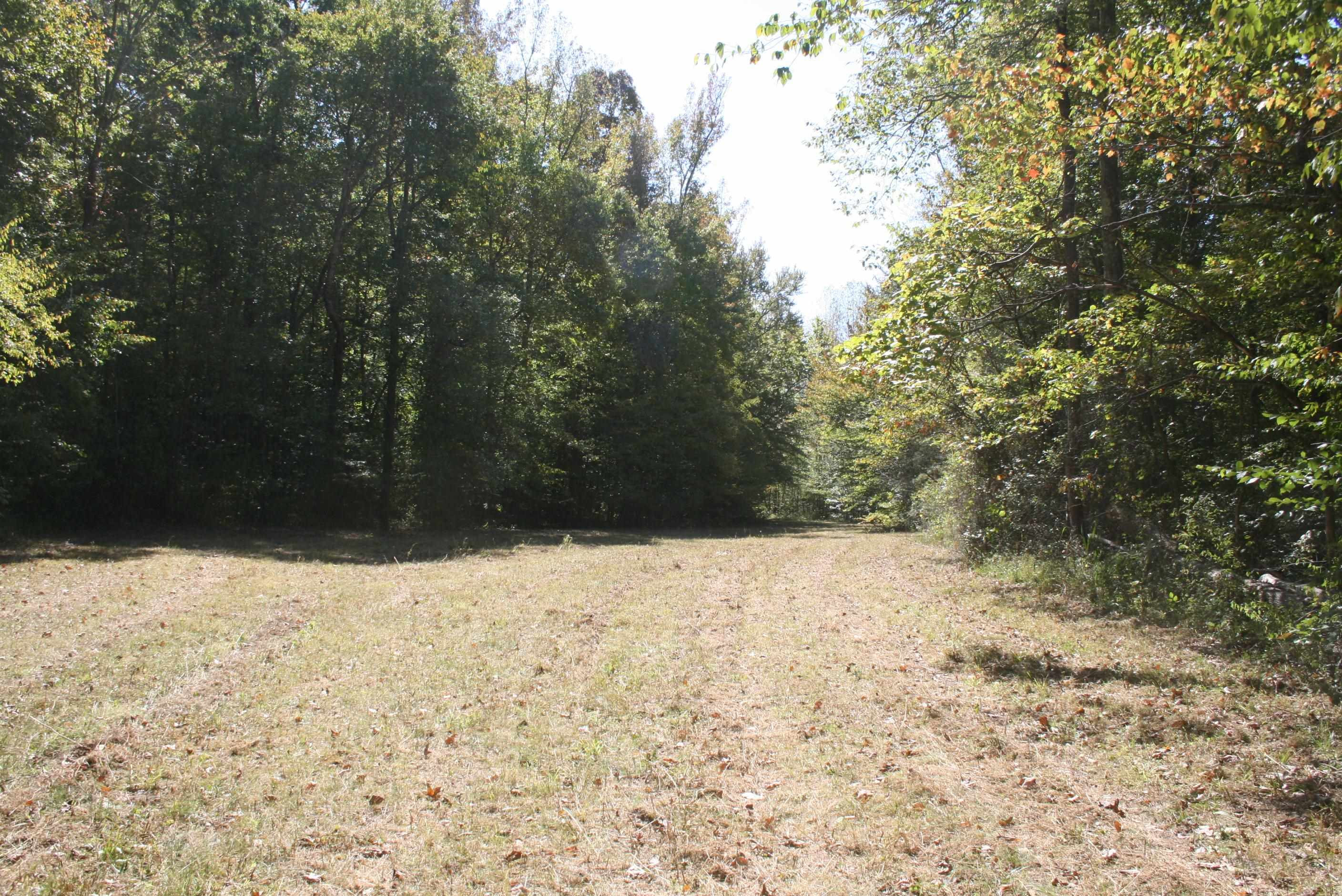 435 Perryville Exchange Road Darden, TN 38328 - Photo 19 of 48 Photo 19