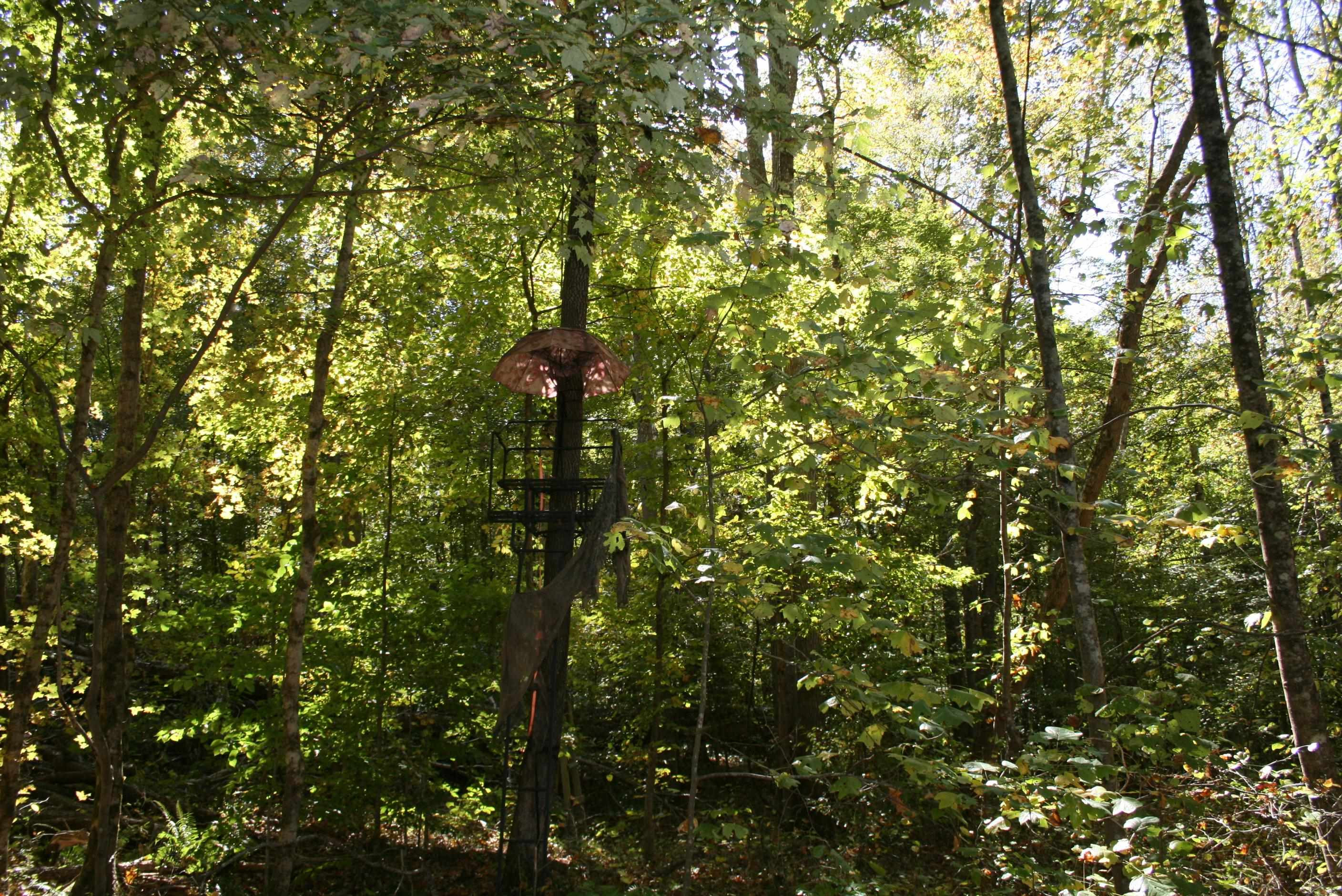 435 Perryville Exchange Road Darden, TN 38328 - Photo 20 of 48 Photo 20