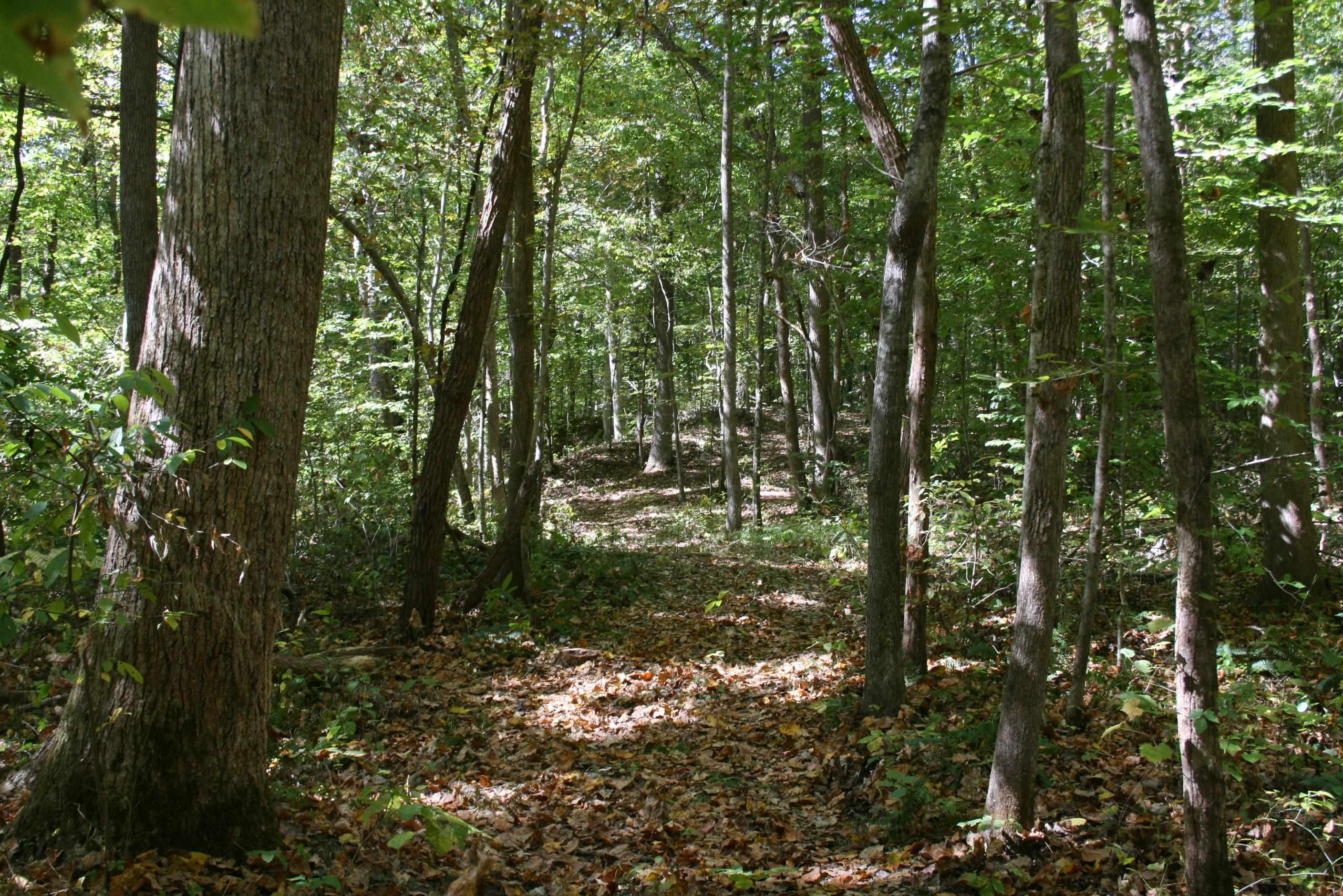 435 Perryville Exchange Road Darden, TN 38328 - Photo 23 of 48 Photo 23