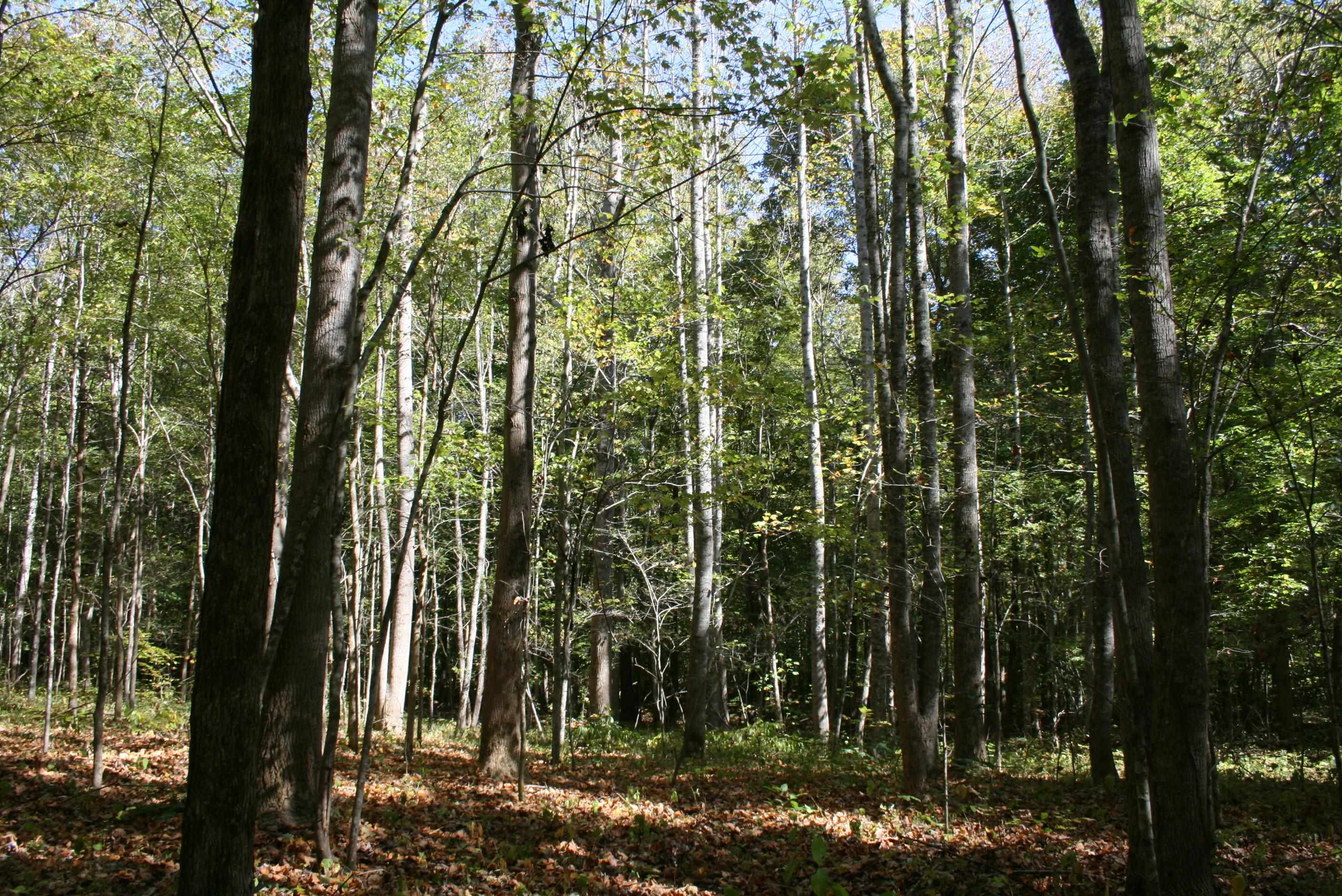 435 Perryville Exchange Road Darden, TN 38328 - Photo 24 of 48 Photo 24