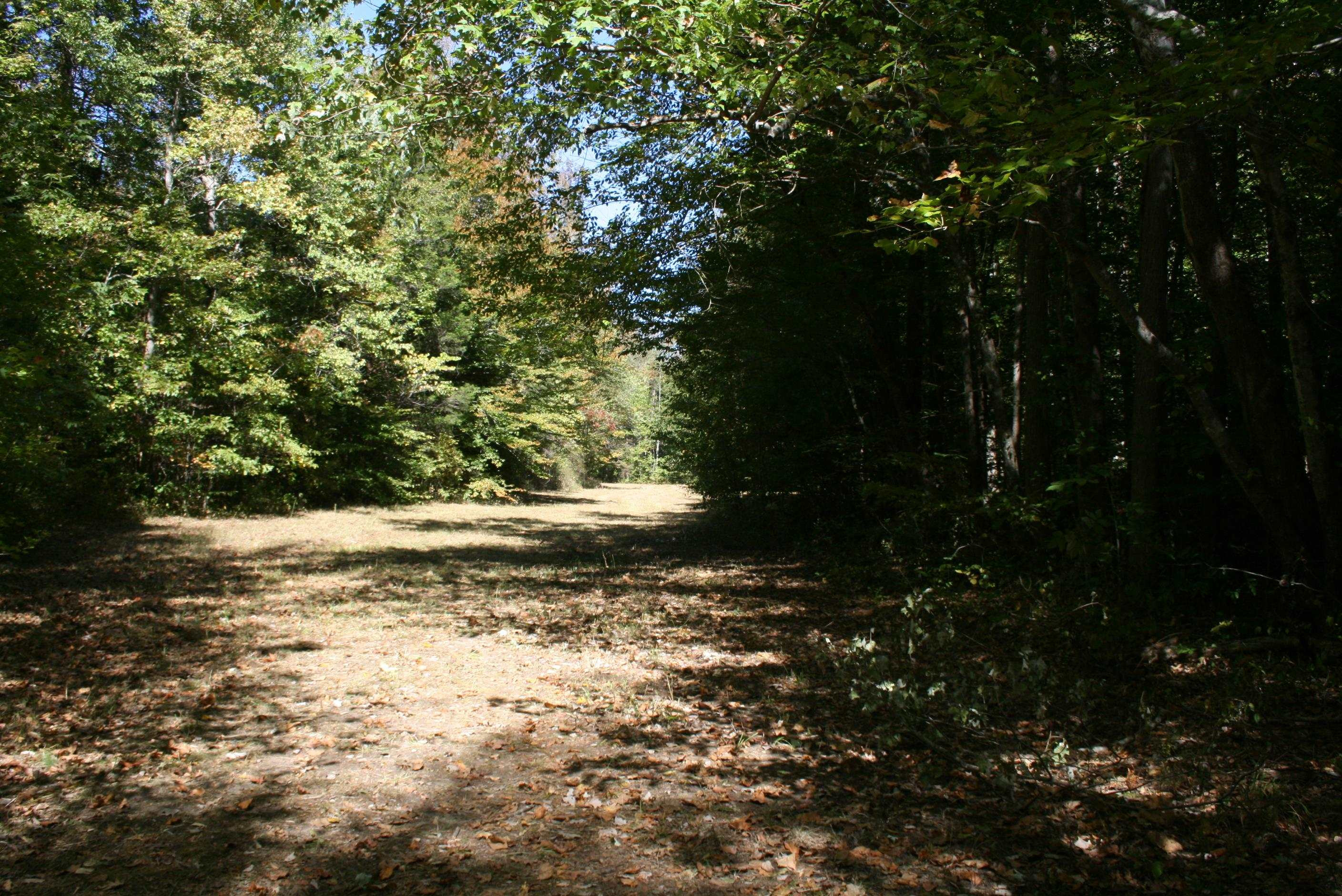 435 Perryville Exchange Road Darden, TN 38328 - Photo 26 of 48 Photo 26