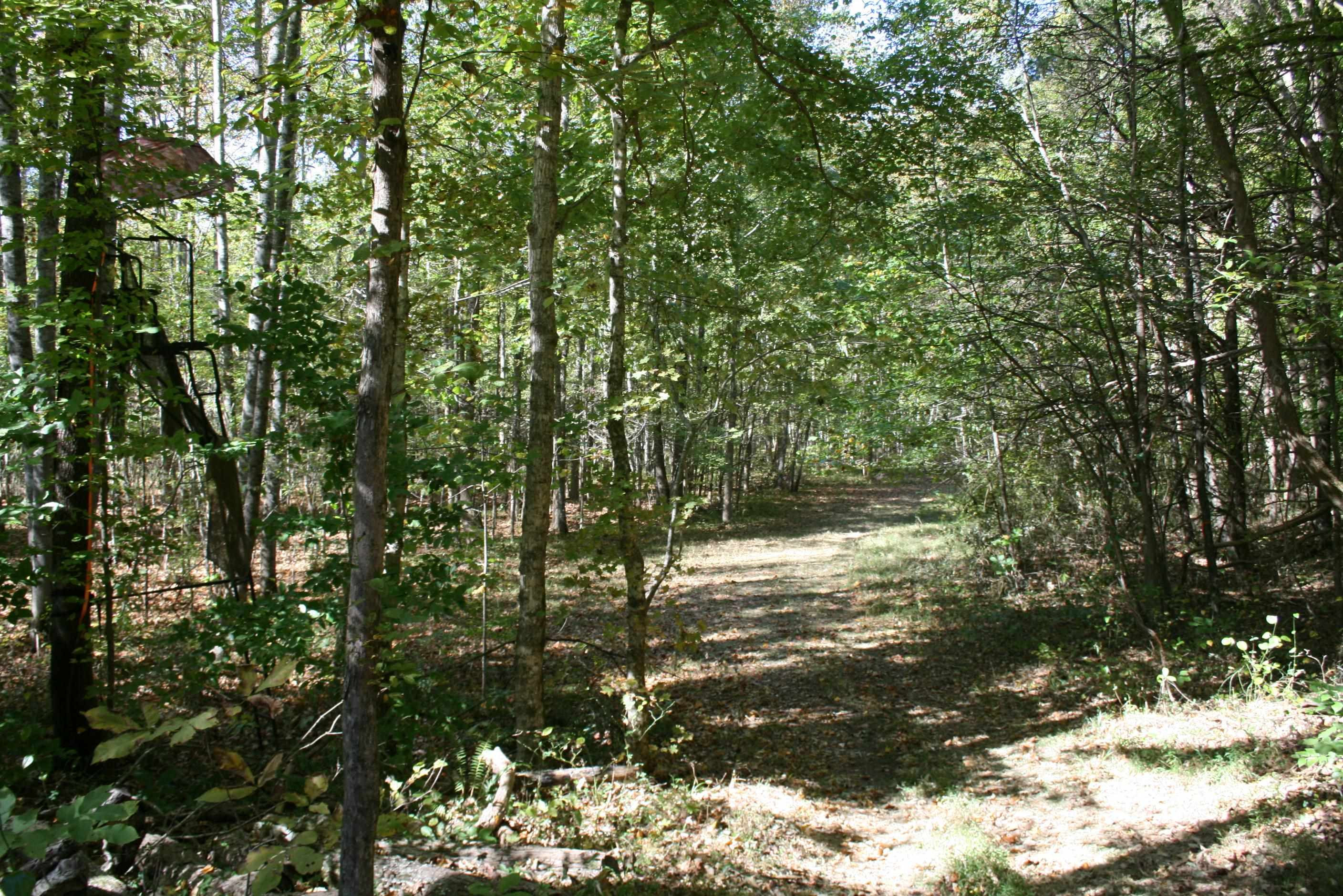 435 Perryville Exchange Road Darden, TN 38328 - Photo 27 of 48 Photo 27