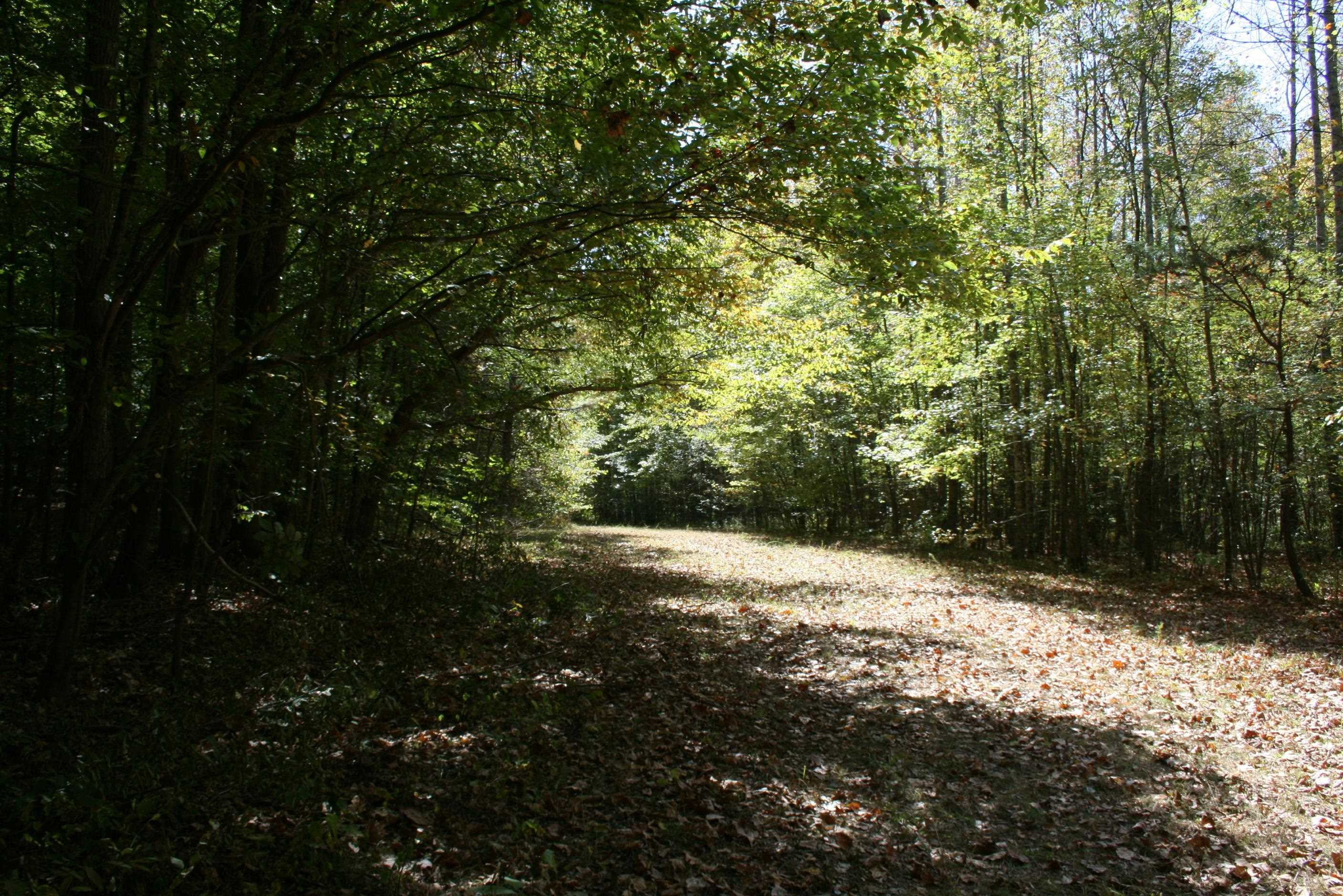 435 Perryville Exchange Road Darden, TN 38328 - Photo 29 of 48 Photo 29