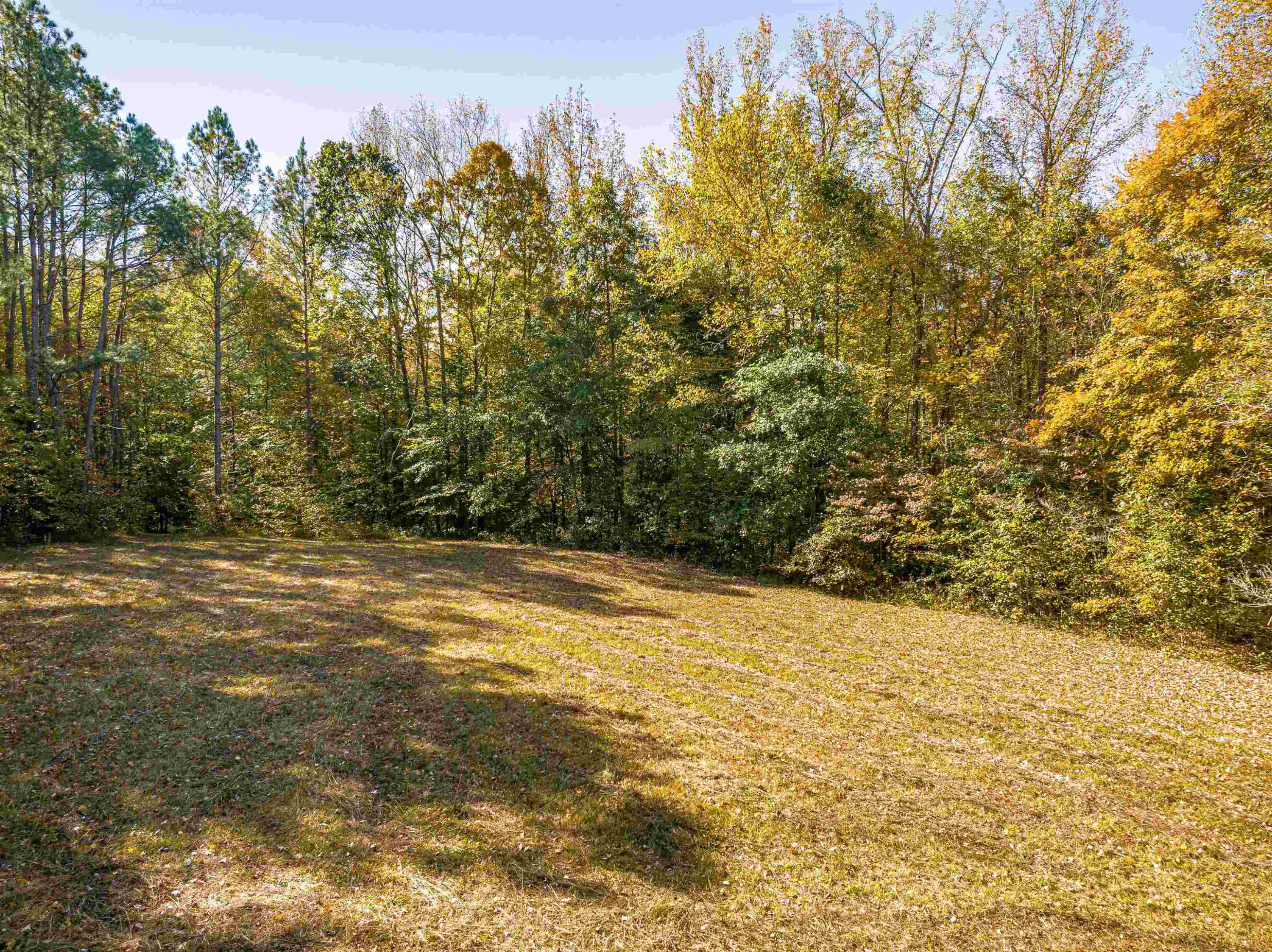 435 Perryville Exchange Road Darden, TN 38328 - Photo 31 of 48 Photo 31