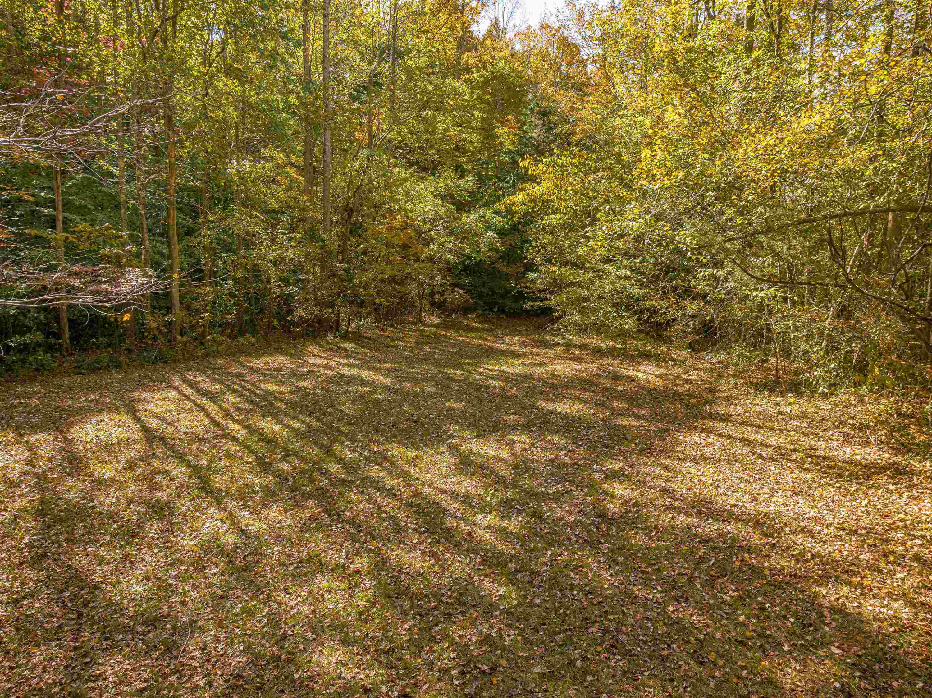 435 Perryville Exchange Road Darden, TN 38328 - Photo 33 of 48 Photo 33