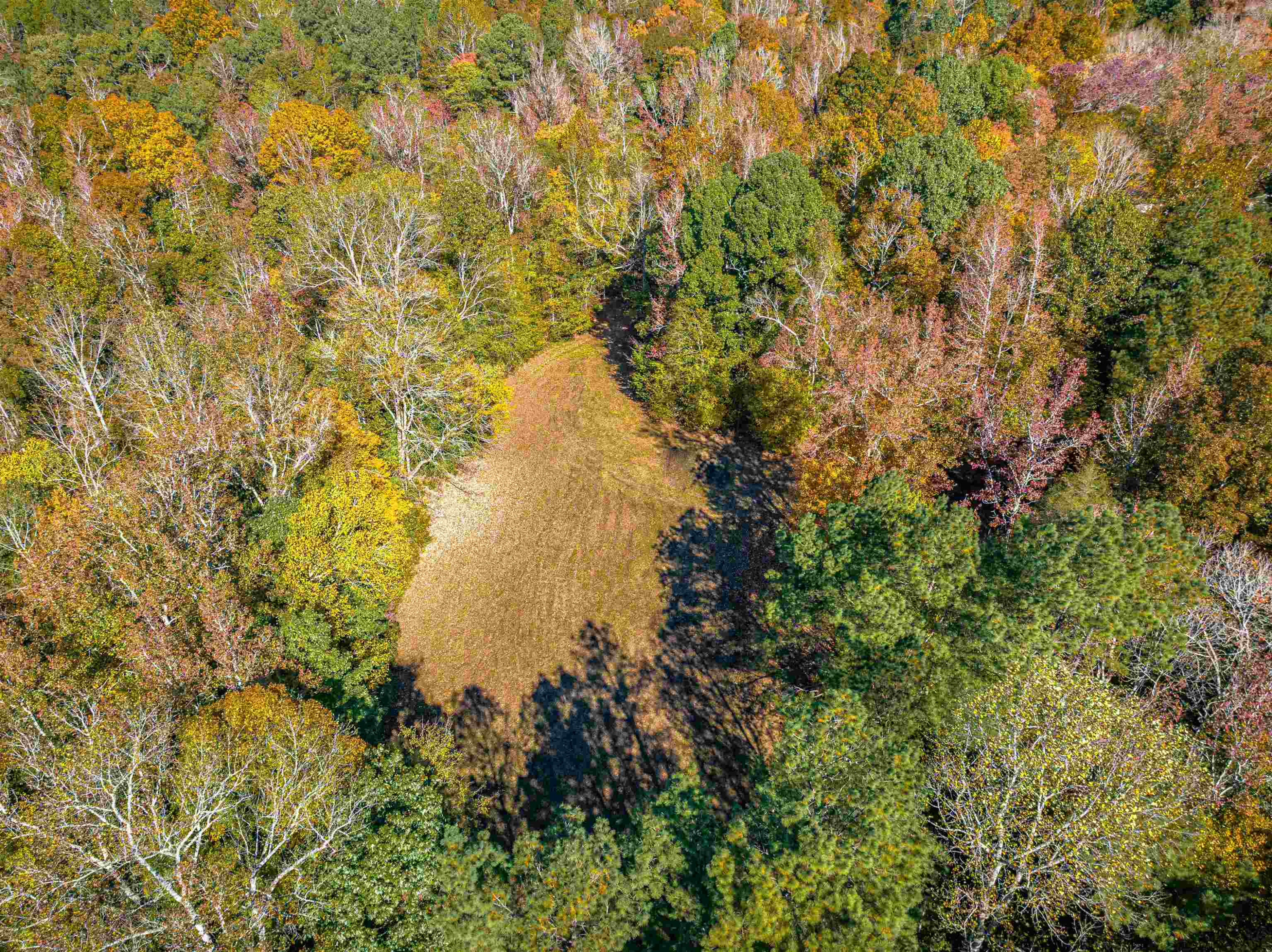 435 Perryville Exchange Road Darden, TN 38328 - Photo 34 of 48 Photo 34