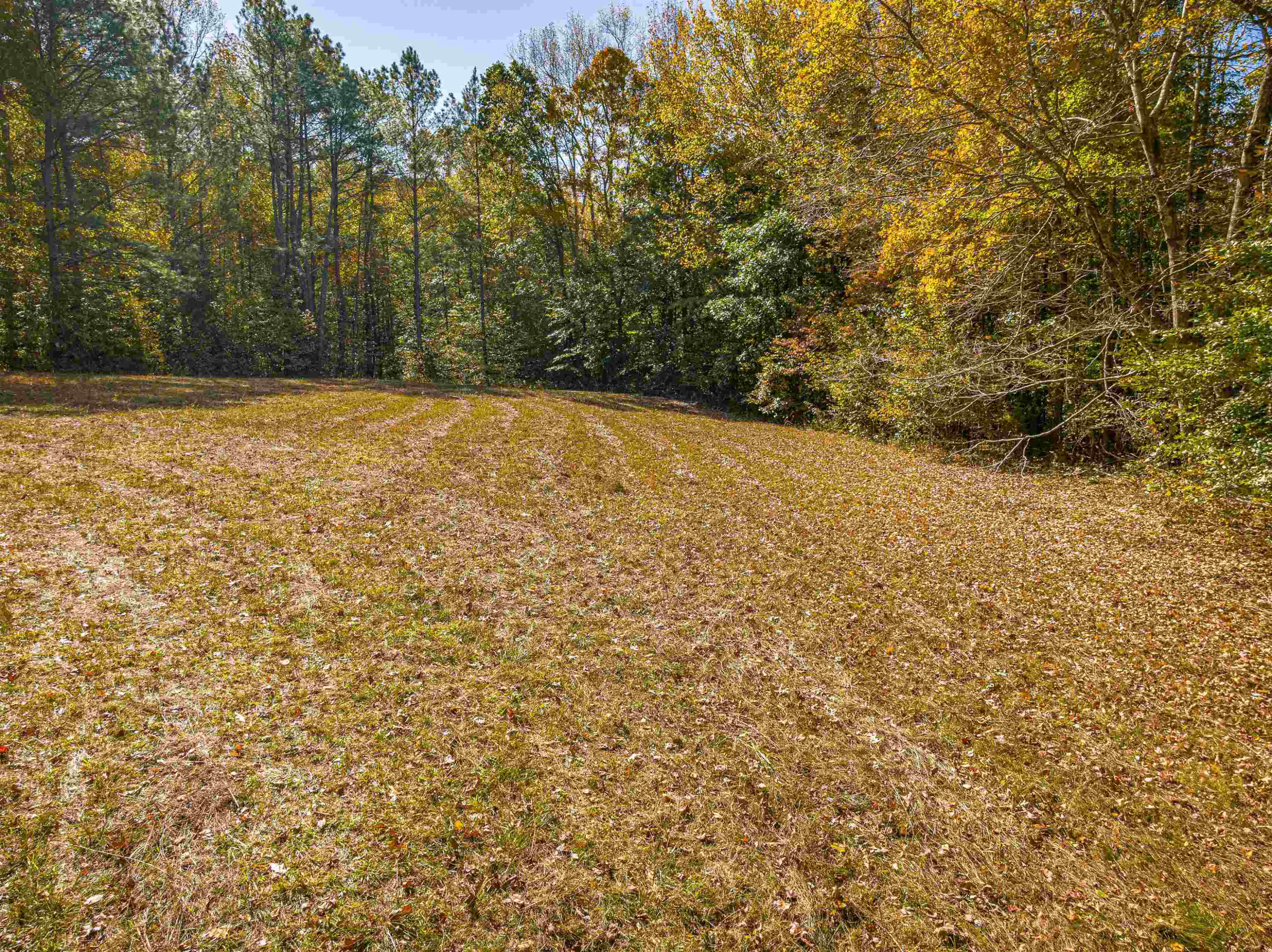 435 Perryville Exchange Road Darden, TN 38328 - Photo 35 of 48 Photo 35