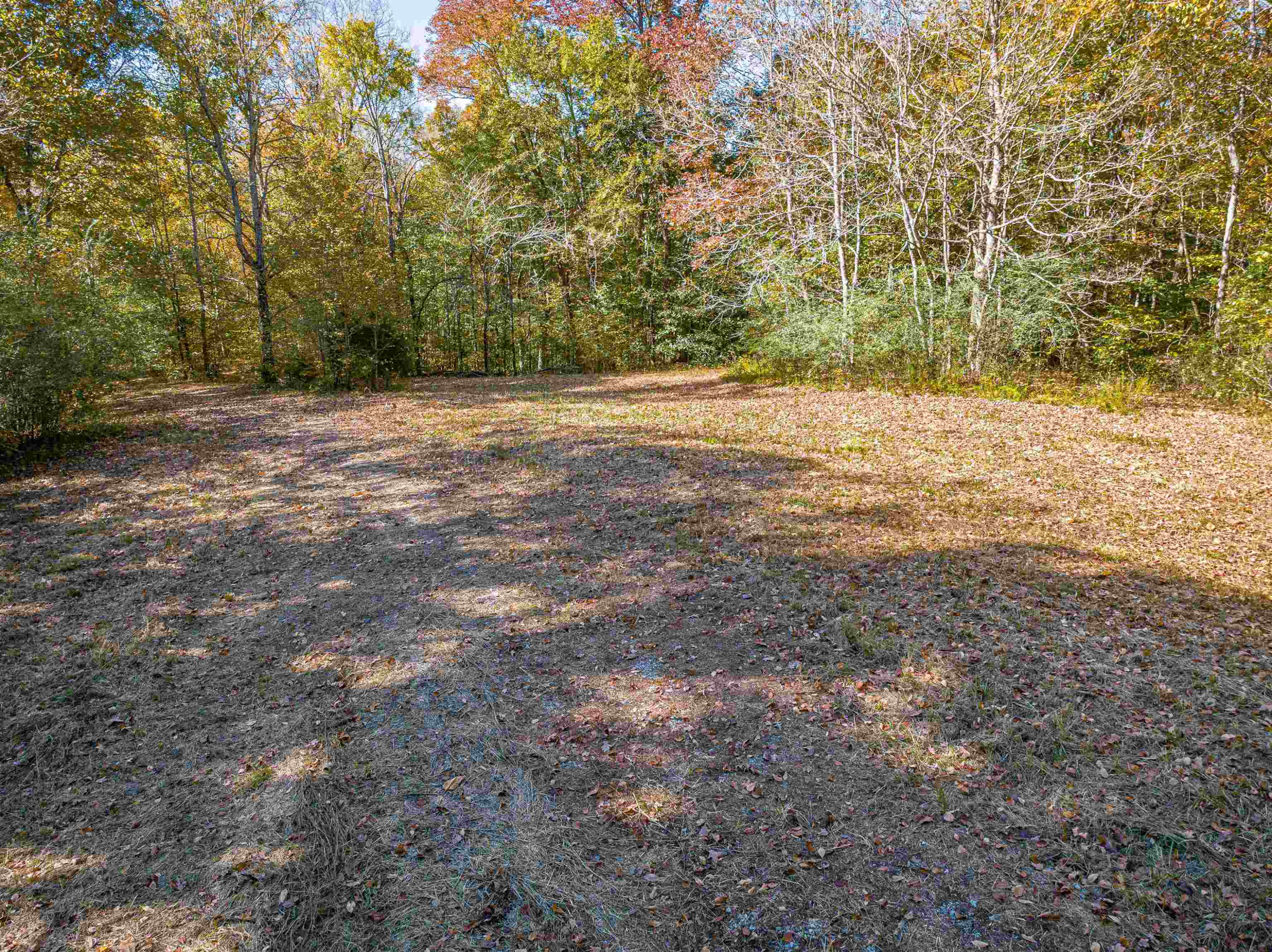 435 Perryville Exchange Road Darden, TN 38328 - Photo 39 of 48 Photo 39