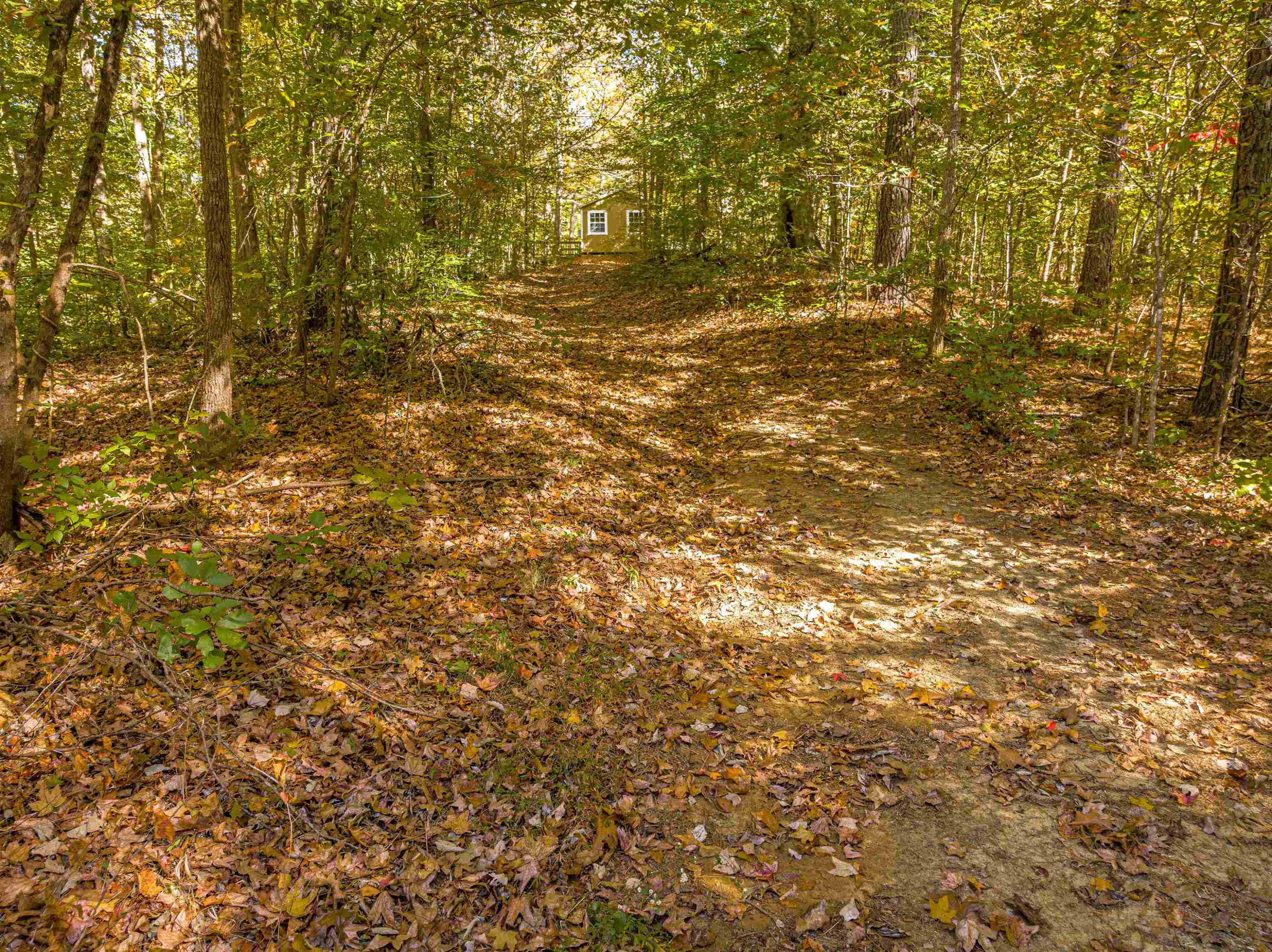 435 Perryville Exchange Road Darden, TN 38328 - Photo 4 of 48 Photo 4