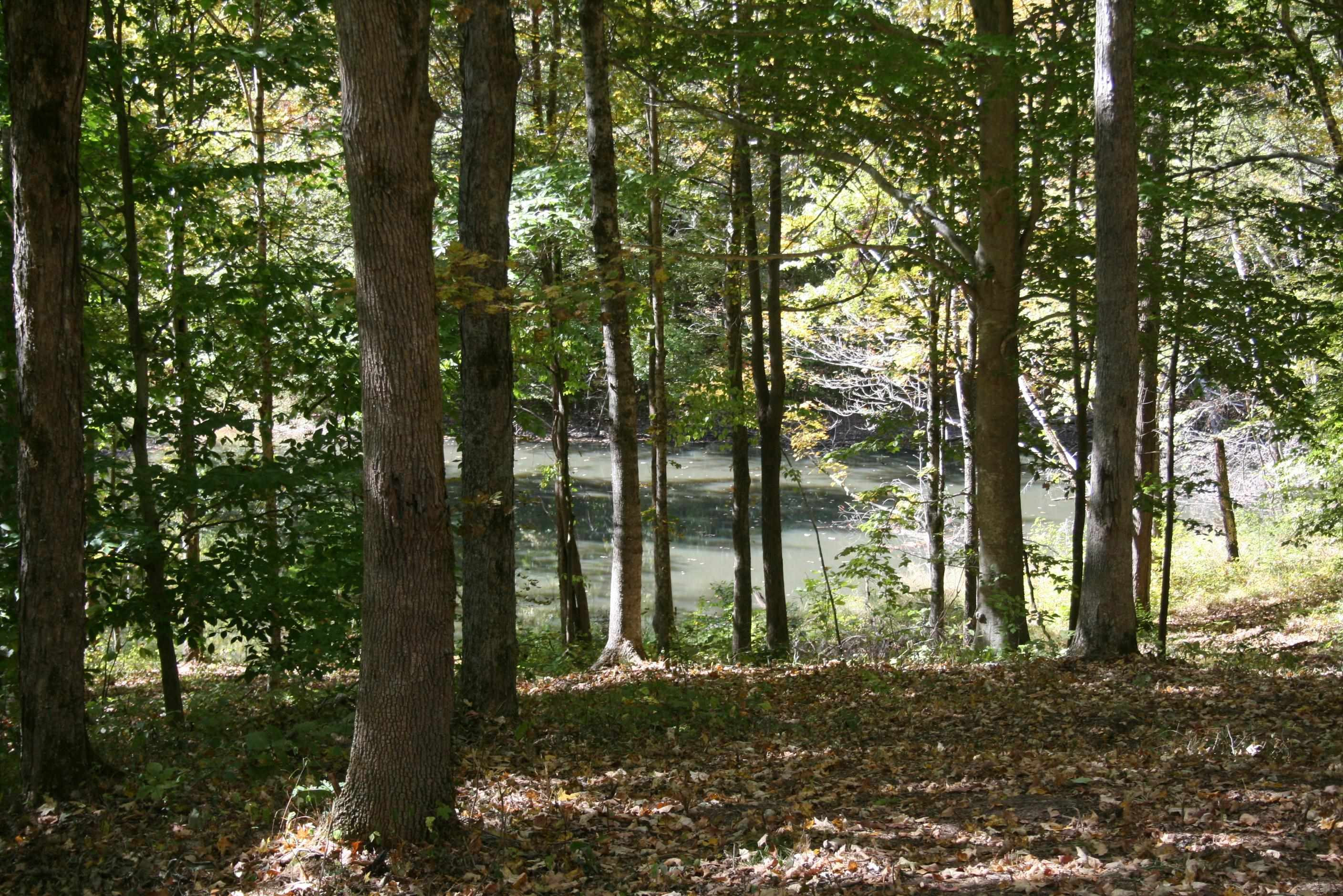 435 Perryville Exchange Road Darden, TN 38328 - Photo 10 of 48 Photo 10