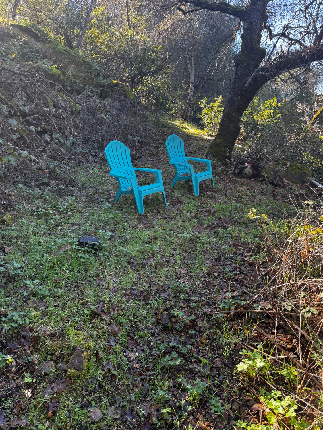 15806 Perimeter Road Grass Valley, CA 95949 - Photo 38 of 48 Lounging area near the creek