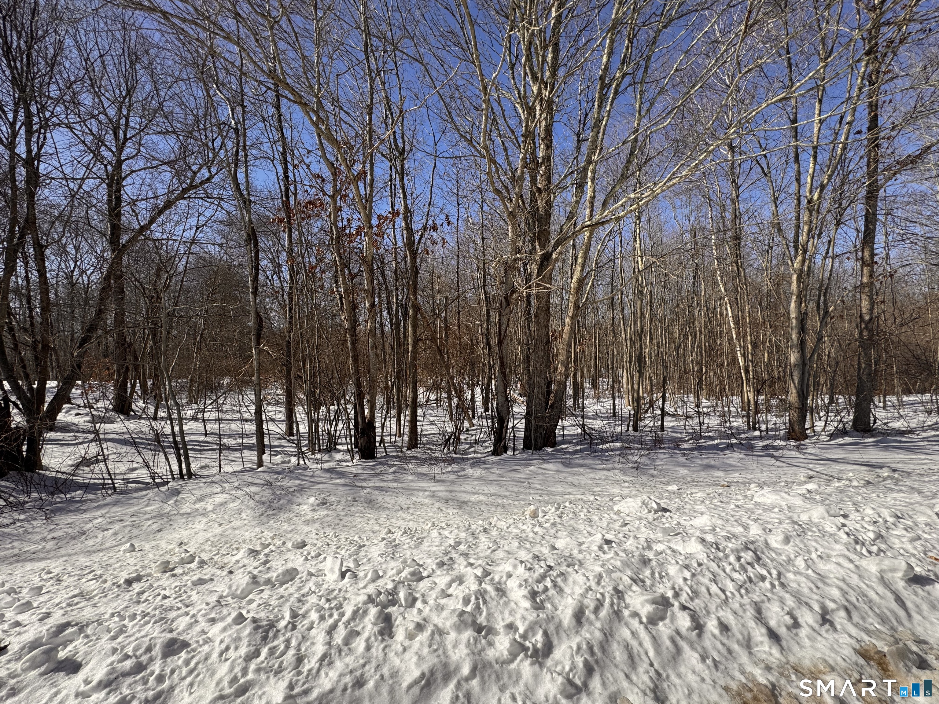 Lot#14 D Litchfield Road Watertown, CT 06795 - Photo 3 of 5