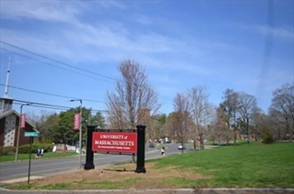 a view of a city with a mountain