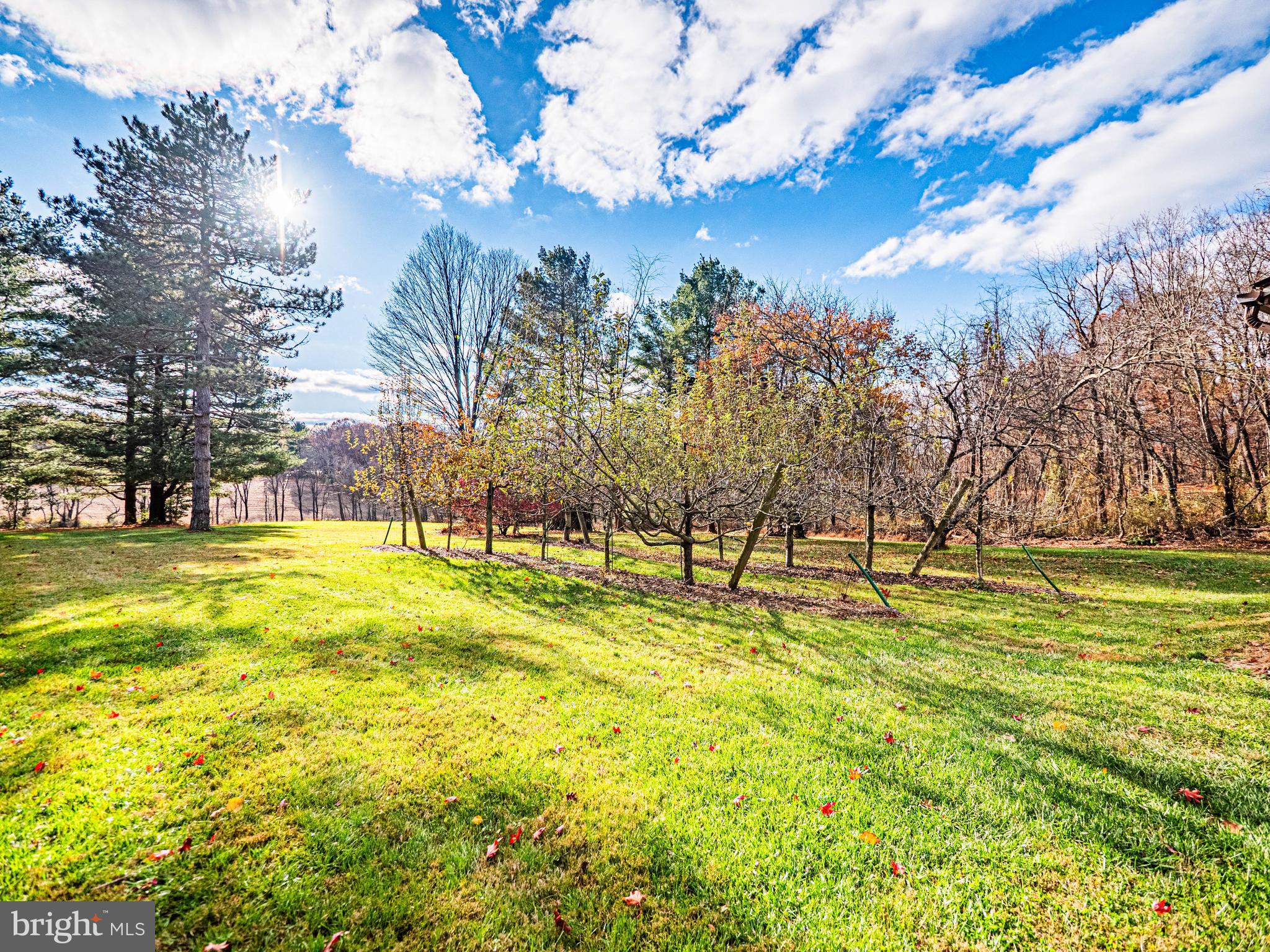 5710 Emory Road Upperco, MD 21155 - Photo 101 of 113 Exterior - Property