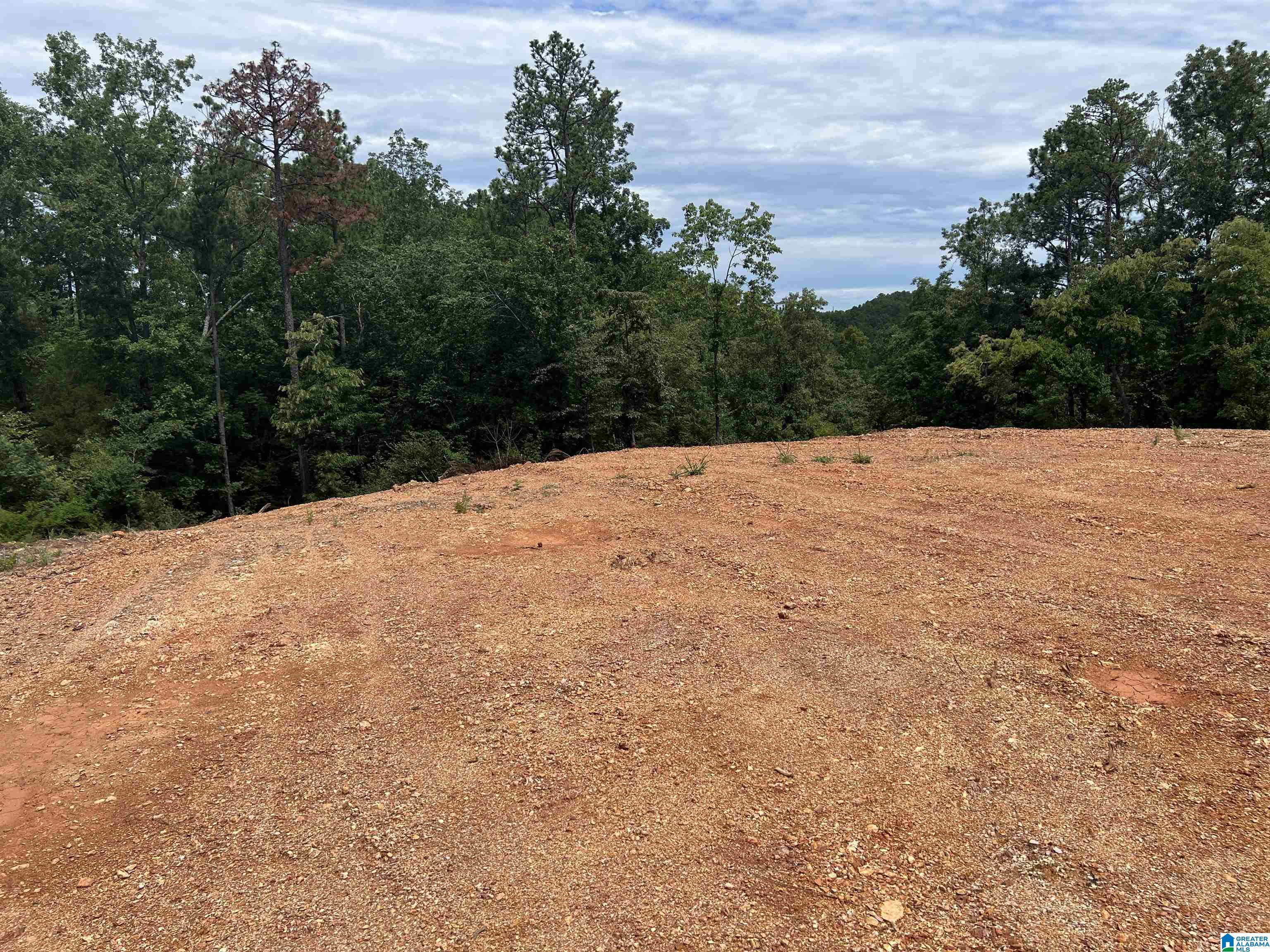 0 County Road 188 Clanton, AL 35046 - Photo 3 of 20
