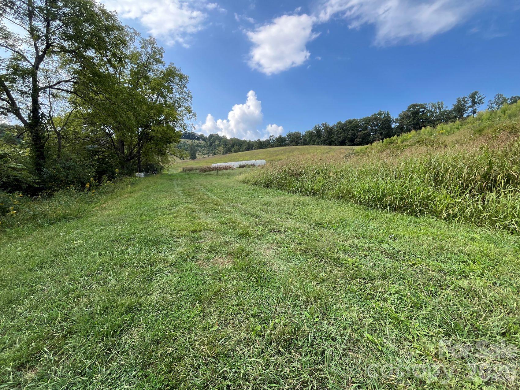 0 Don Felmet Road Marshall, NC 28753 - Photo 12 of 20 Gallery Image 12