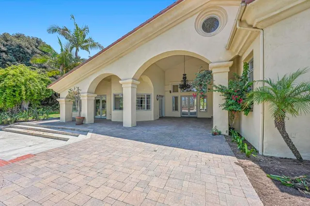 a view of a garden with plants