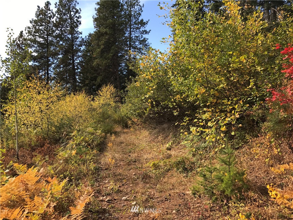 1161 Golf Course Road Cle Elum, WA 98922 - Photo 8 of 9 Gallery Image 8