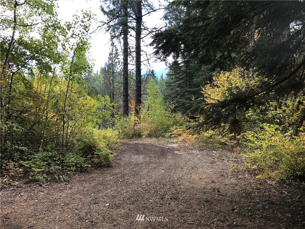 1161 Golf Course Road Cle Elum, WA 98922 - Photo 9 of 9 Gallery Image 9
