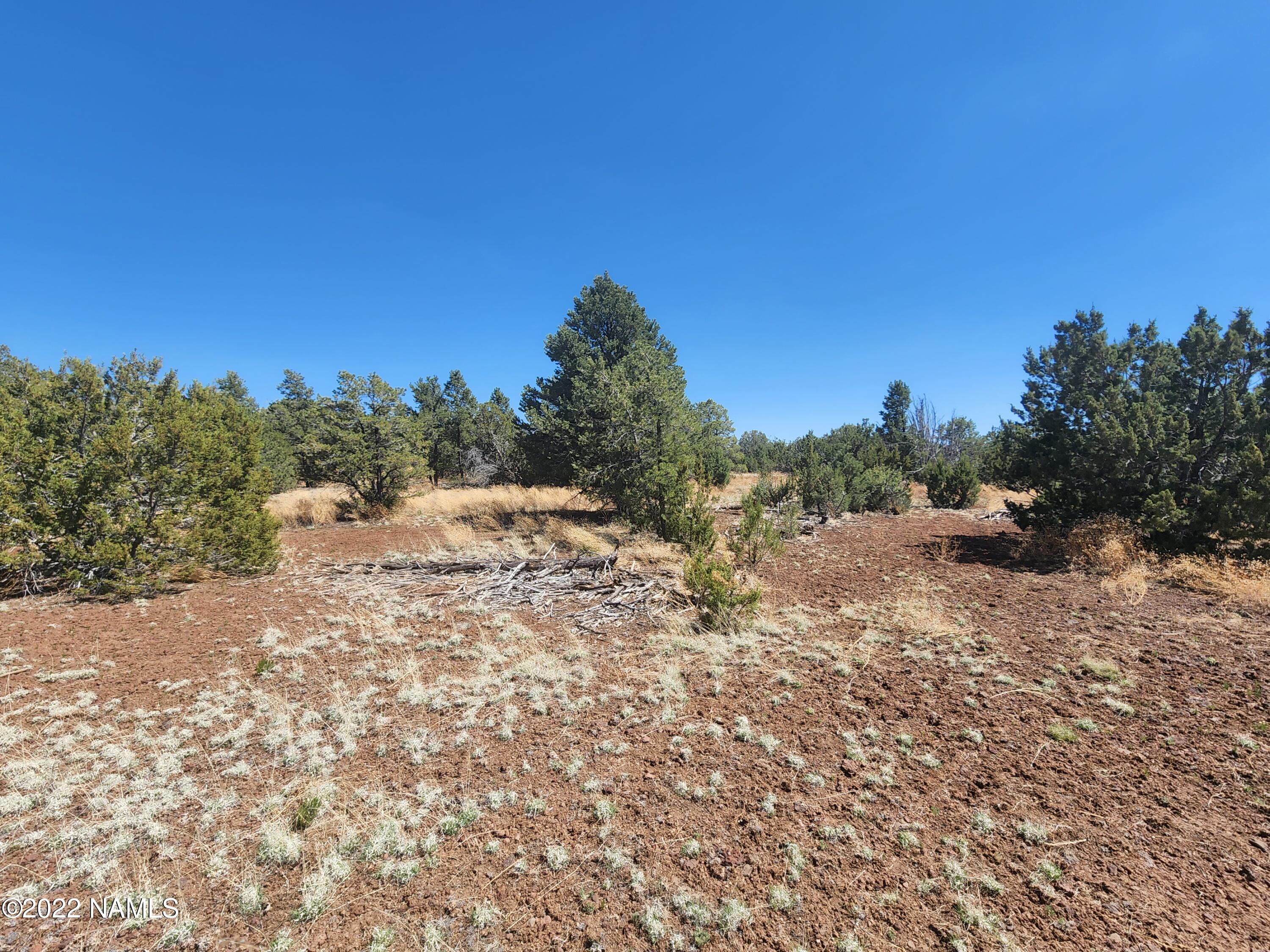 7613 Rocky Ridge Williams, AZ 86046 - Photo 18 of 36 20220517_142338