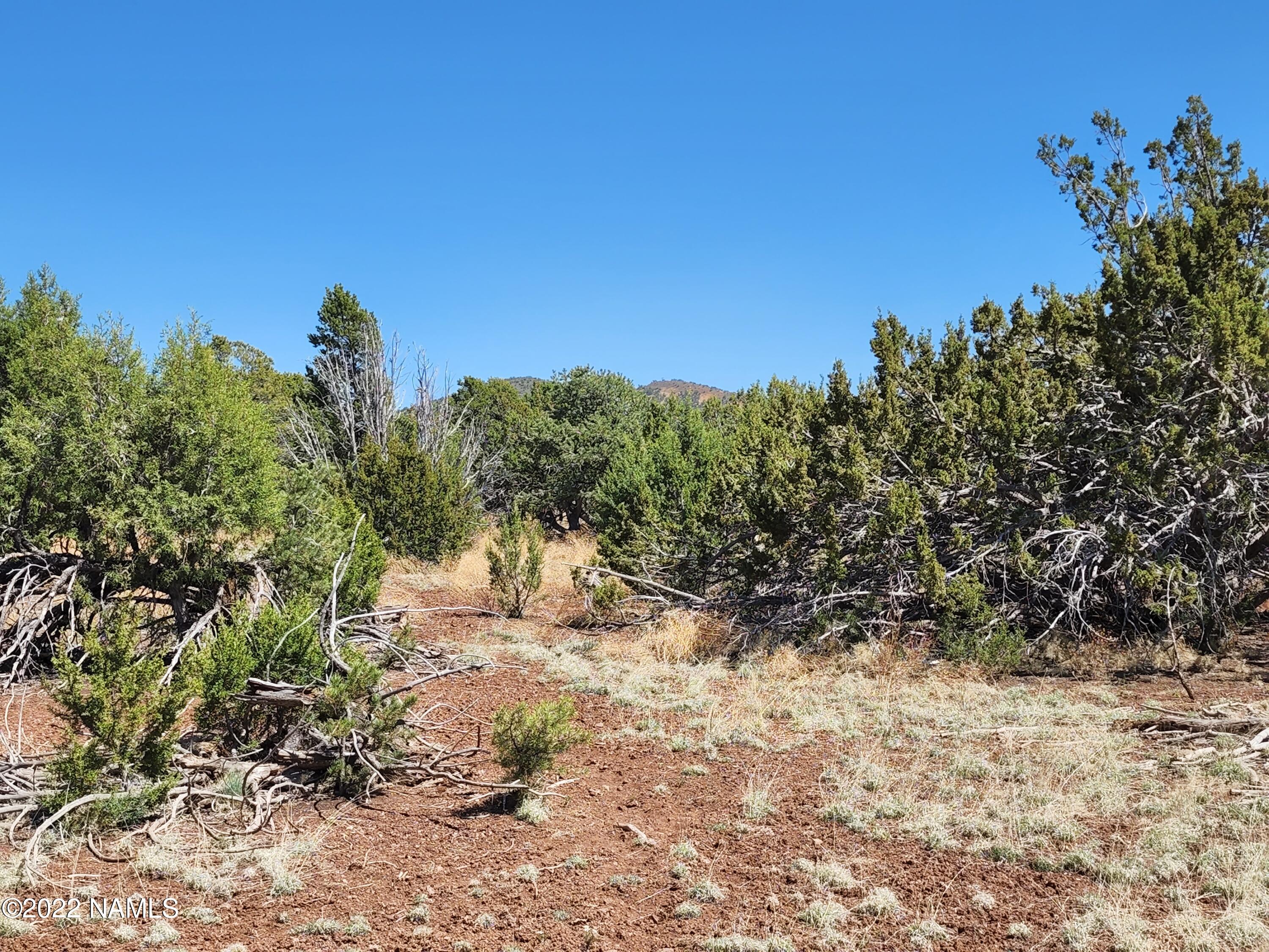 7613 Rocky Ridge Williams, AZ 86046 - Photo 8 of 36 20220517_142442
