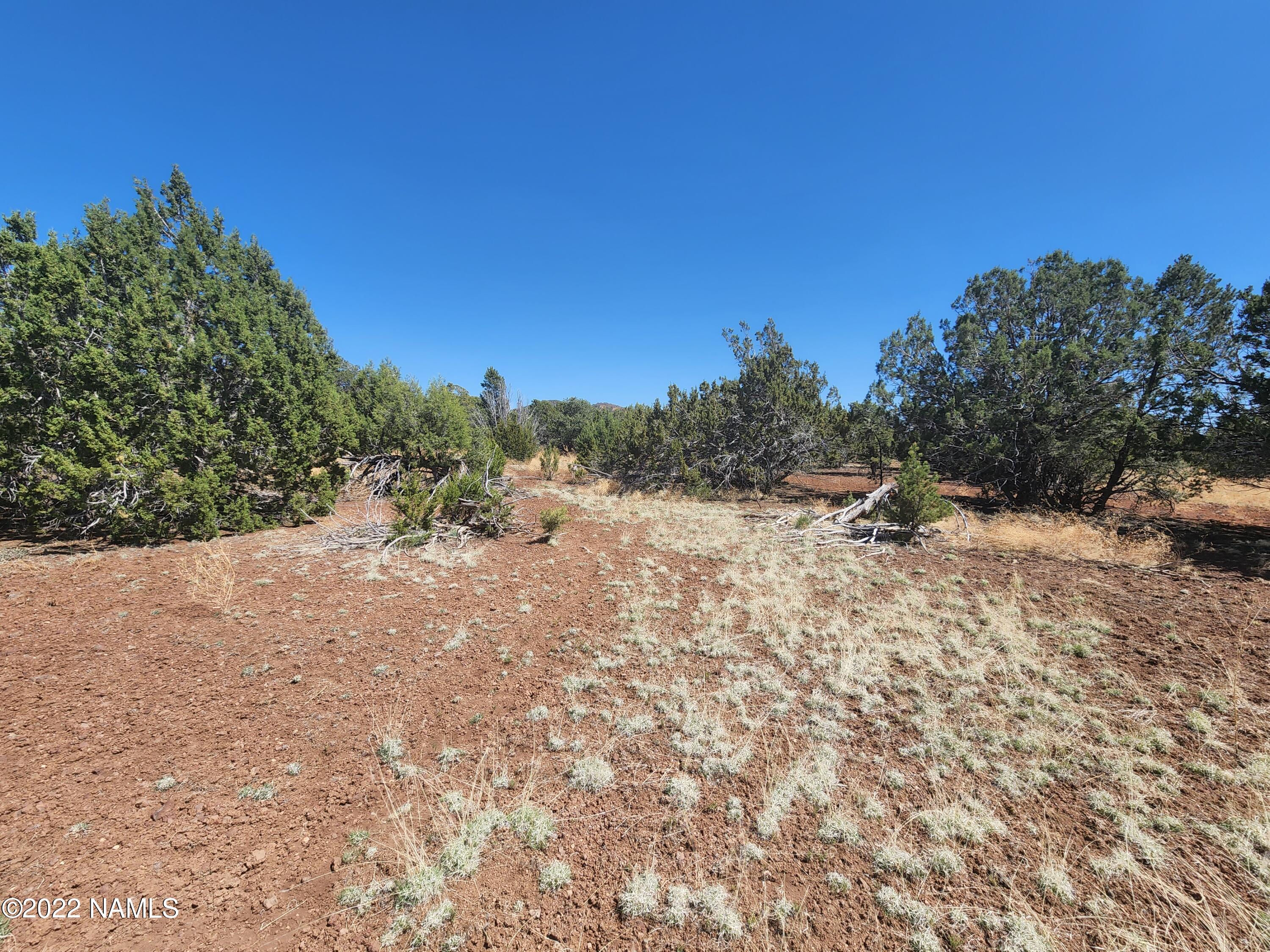 7613 Rocky Ridge Williams, AZ 86046 - Photo 10 of 36 20220517_142434