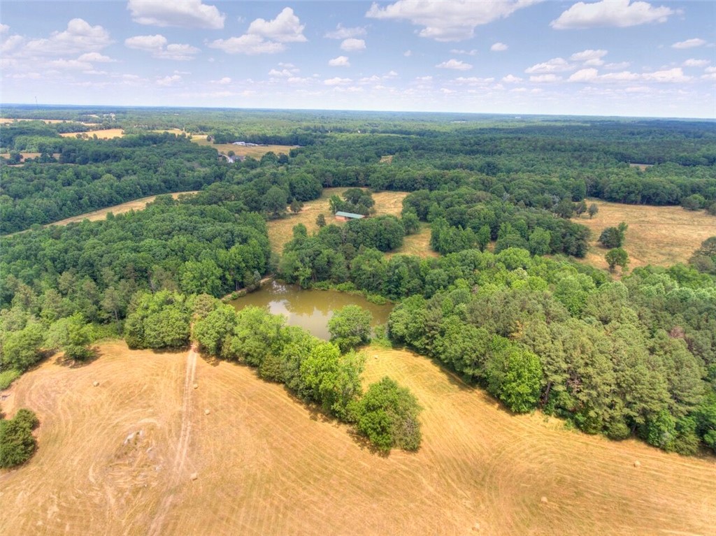 1617 Hook Road Honea Path, SC 29654 - Photo 4 of 50