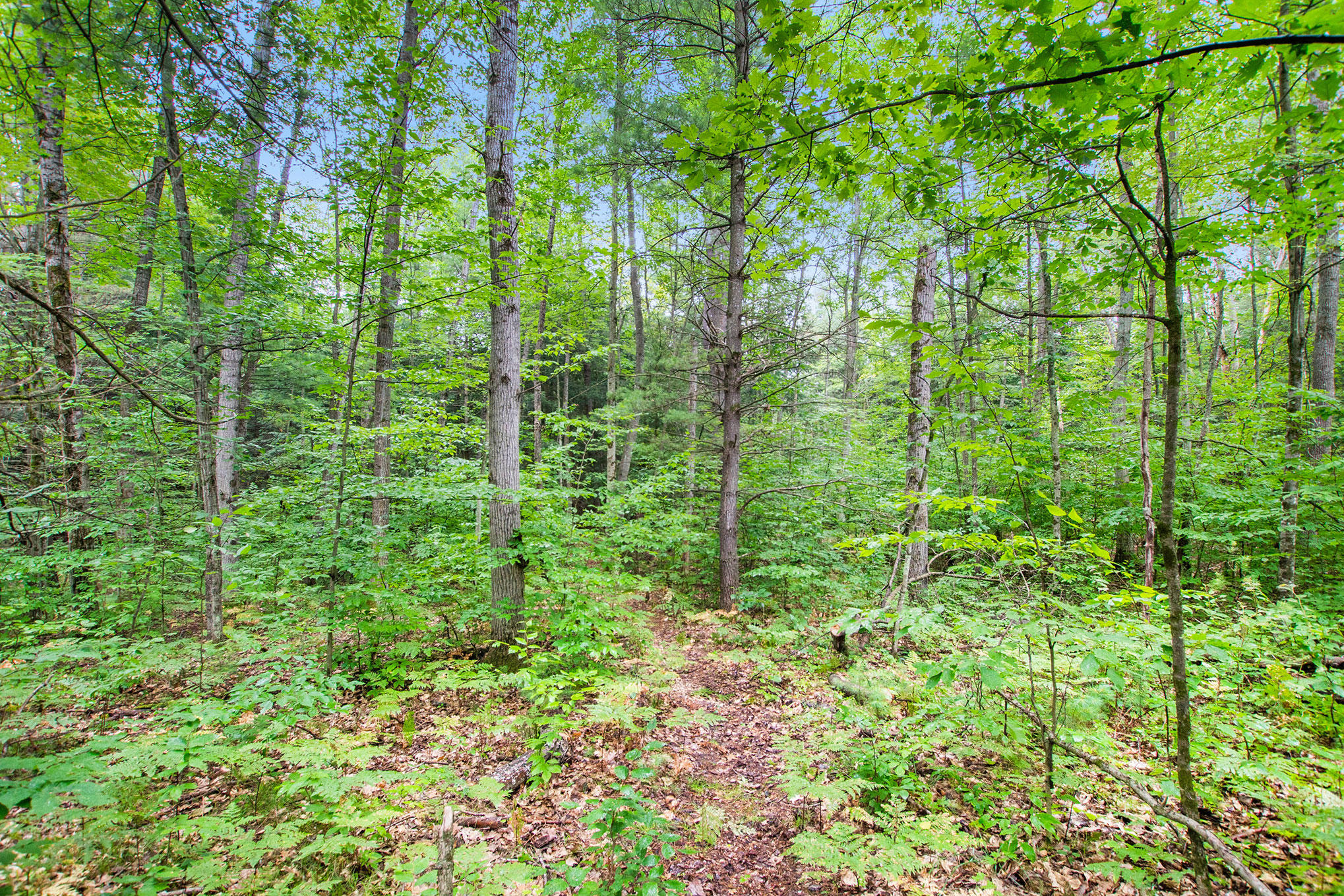 3445 North Kilgore Road Luther, MI 49656 - Photo 16 of 24 DSC01471