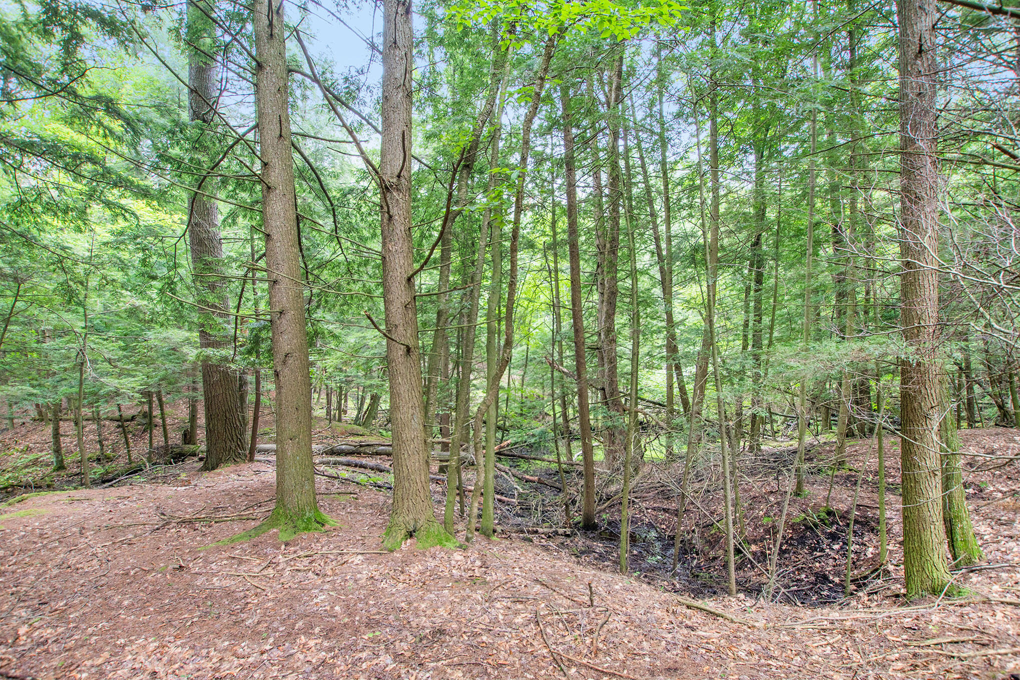 3445 North Kilgore Road Luther, MI 49656 - Photo 19 of 24 DSC01474