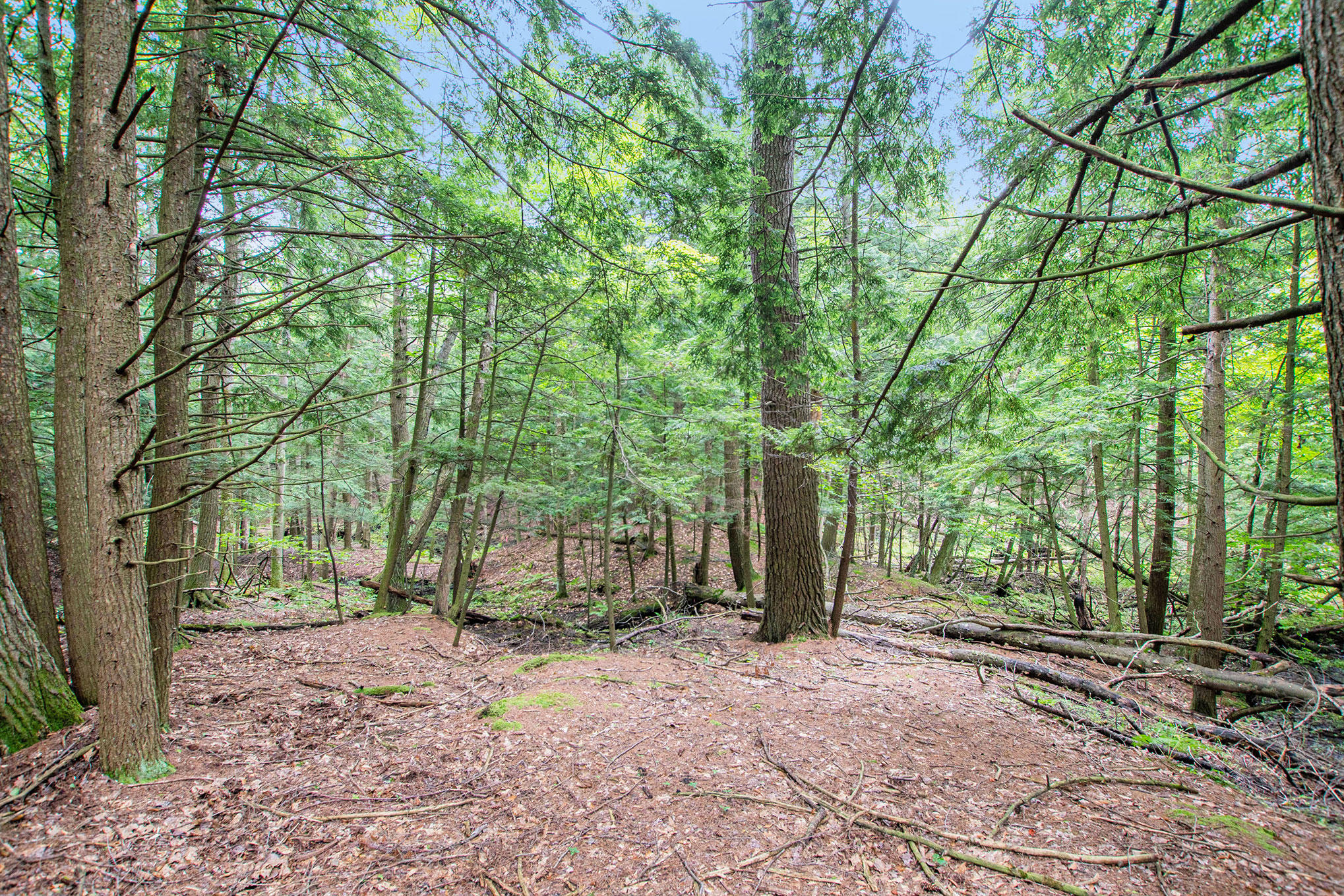 3445 North Kilgore Road Luther, MI 49656 - Photo 20 of 24 DSC01475