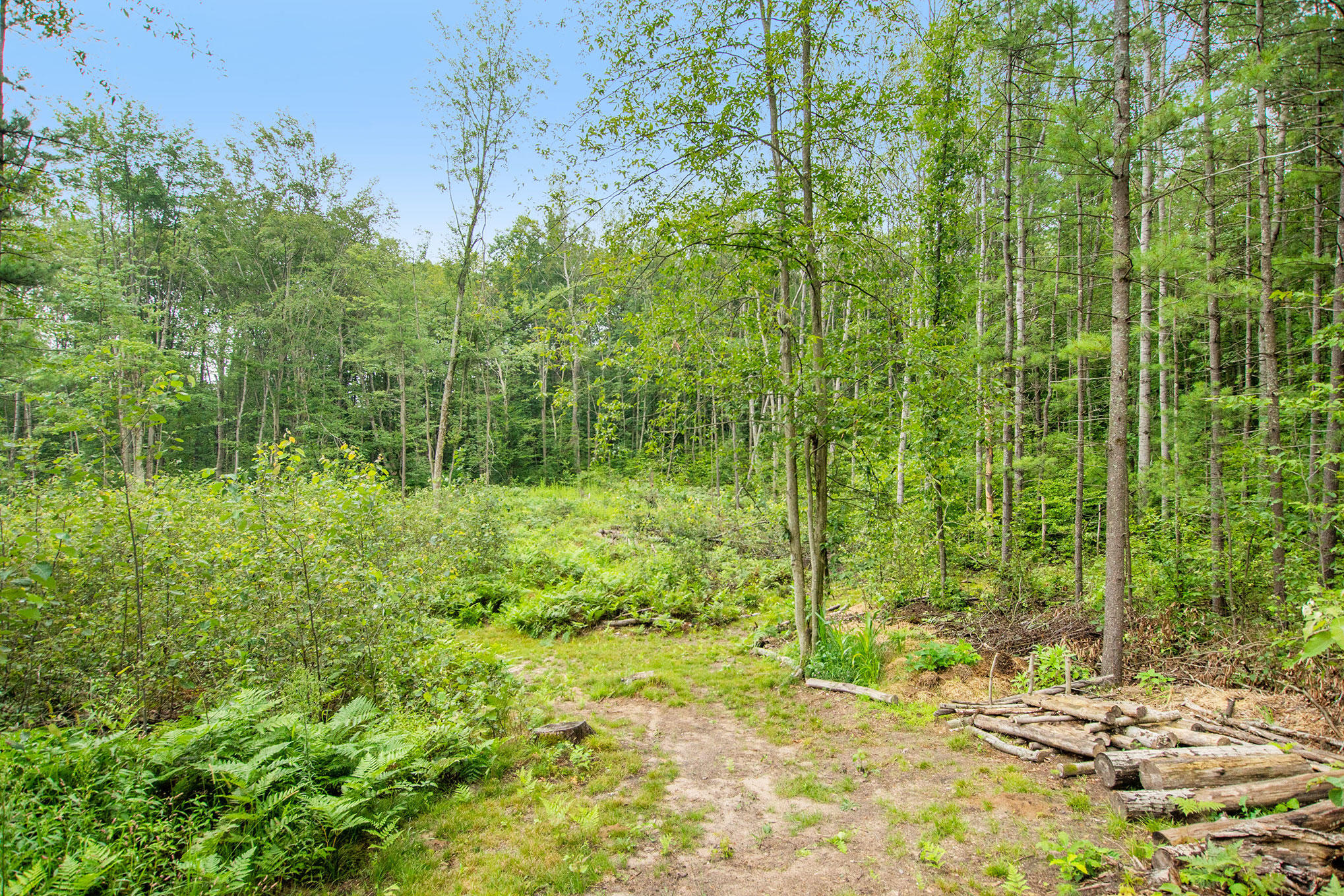 3445 North Kilgore Road Luther, MI 49656 - Photo 23 of 24 DSC01483