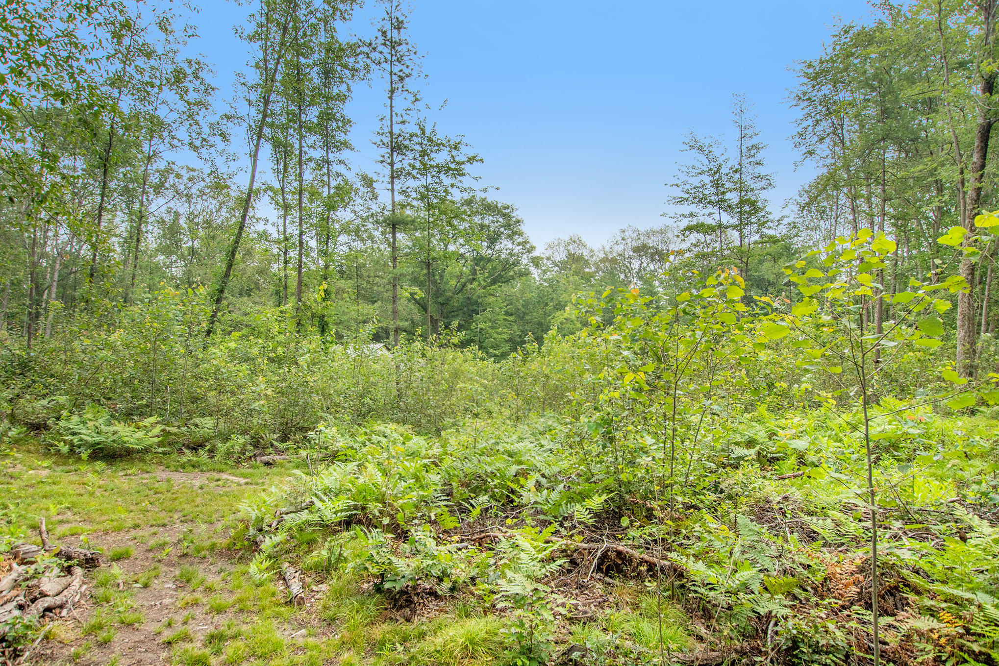 3445 North Kilgore Road Luther, MI 49656 - Photo 24 of 24 DSC01484
