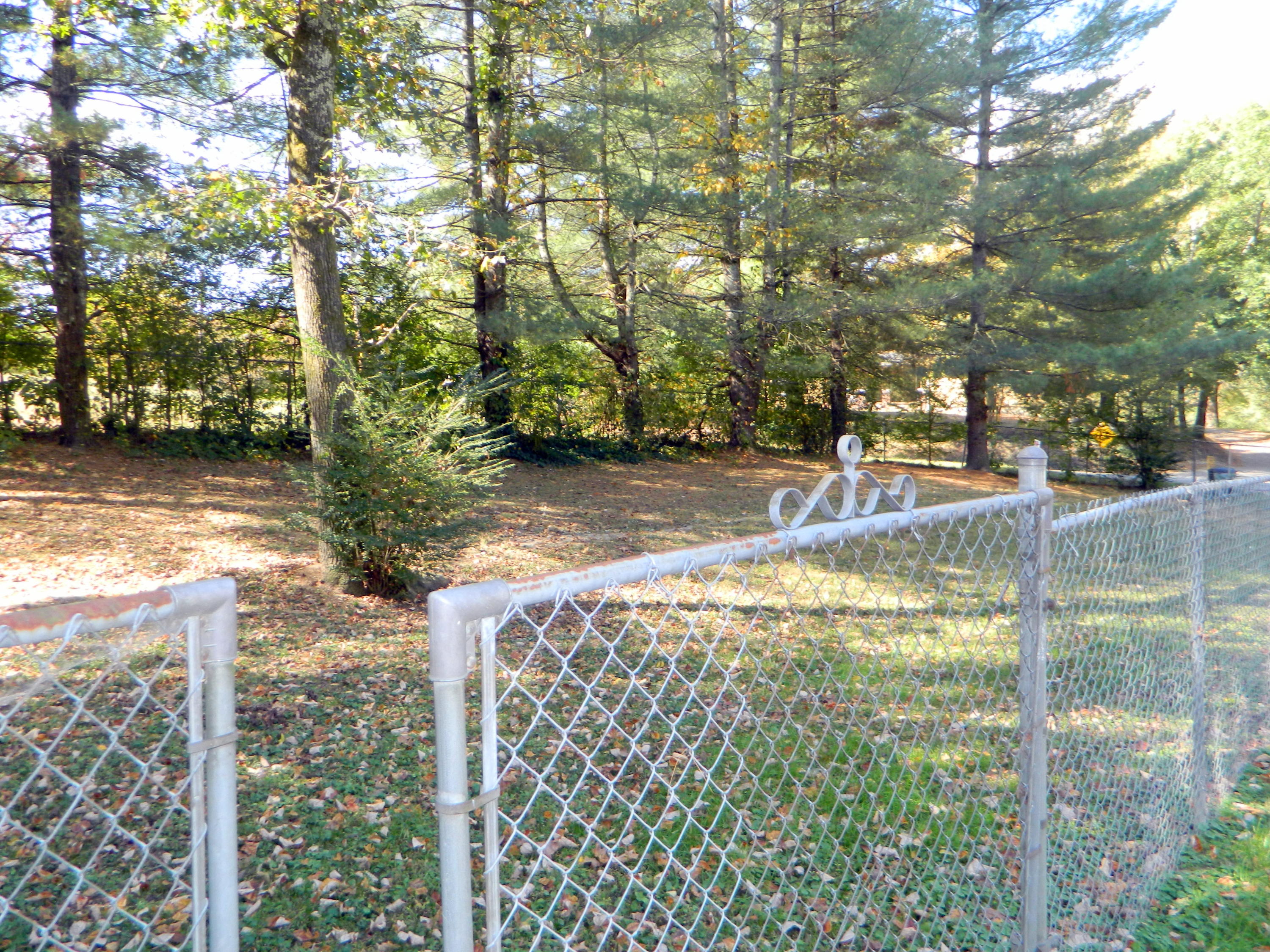 8708 Gann Road Soddy Daisy, TN 37379 - Photo 38 of 46 DSCN1180-001