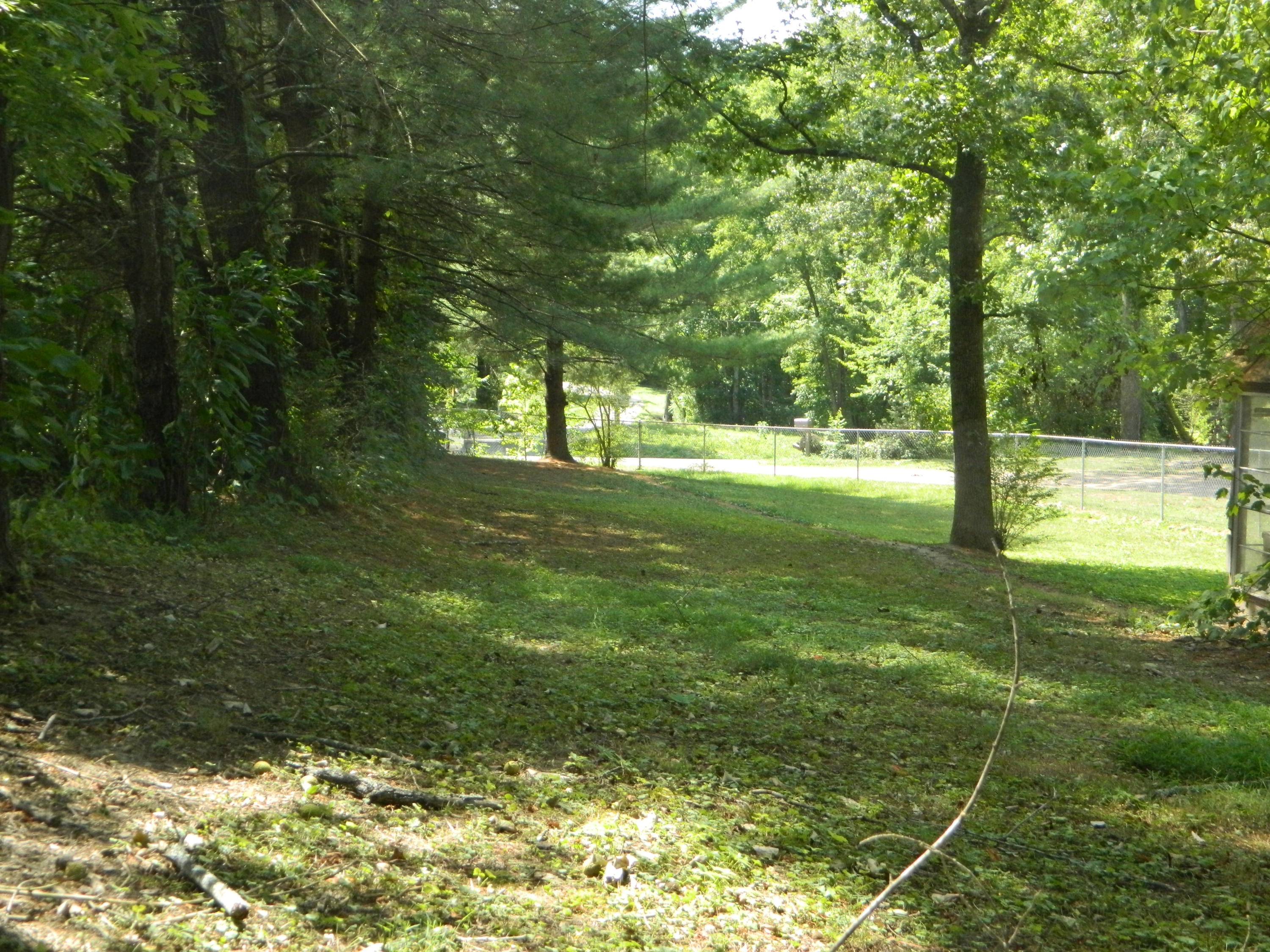 8708 Gann Road Soddy Daisy, TN 37379 - Photo 41 of 46 DSCN0482