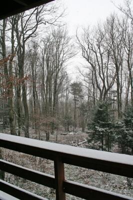 44 West Ridge Road Slatyfork, WV 26291 - Photo 26 of 27 view into the back yard from the lower deck
