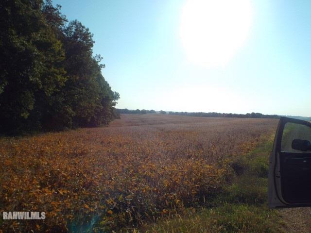 10905 South Massbach Road Elizabeth, IL 61028 - Photo 13 of 41 a view of a yard