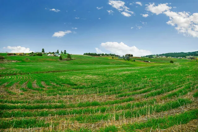 $360,000 | Nka East Hoffman Lane, Spokane, WA 99223