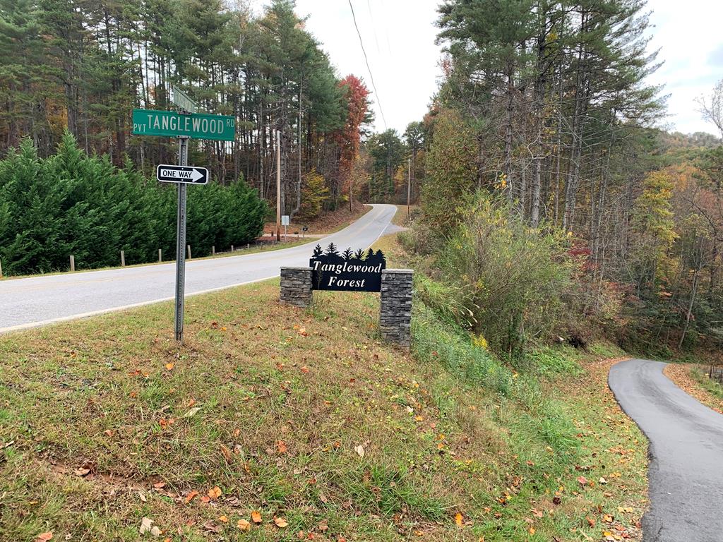 55 Laurel Spring Drive Murphy, NC 28906 - Photo 1 of 73 Main View