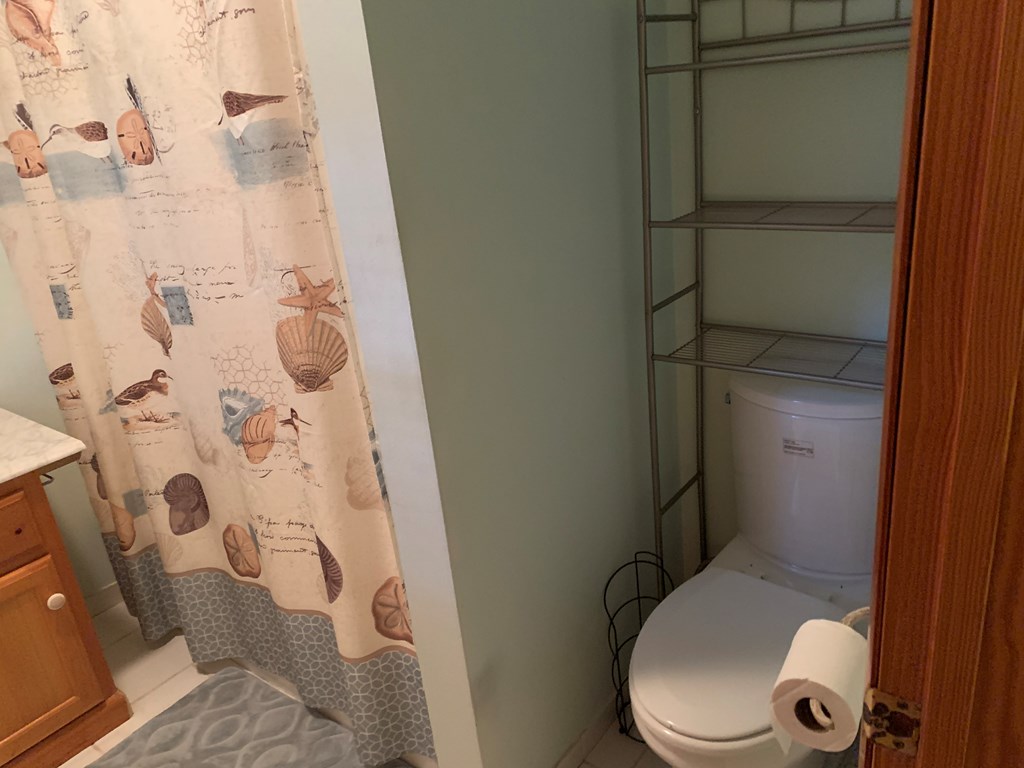 55 Laurel Spring Drive Murphy, NC 28906 - Photo 17 of 73 a white toilet sitting next to a shower curtain