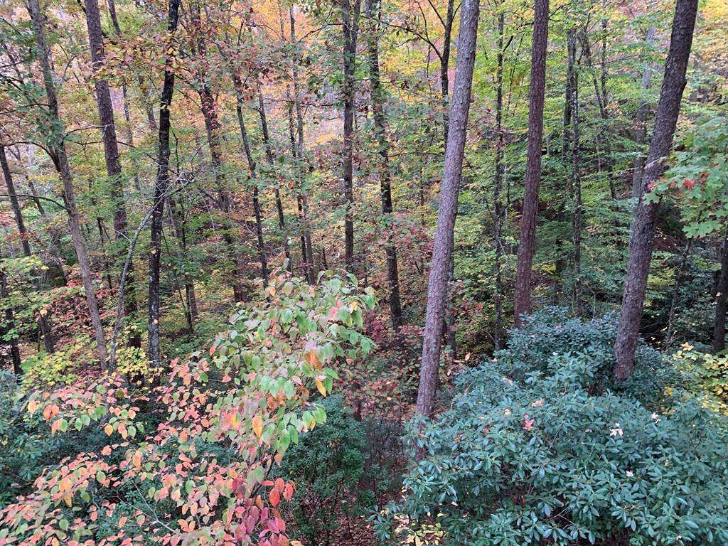 55 Laurel Spring Drive Murphy, NC 28906 - Photo 33 of 73